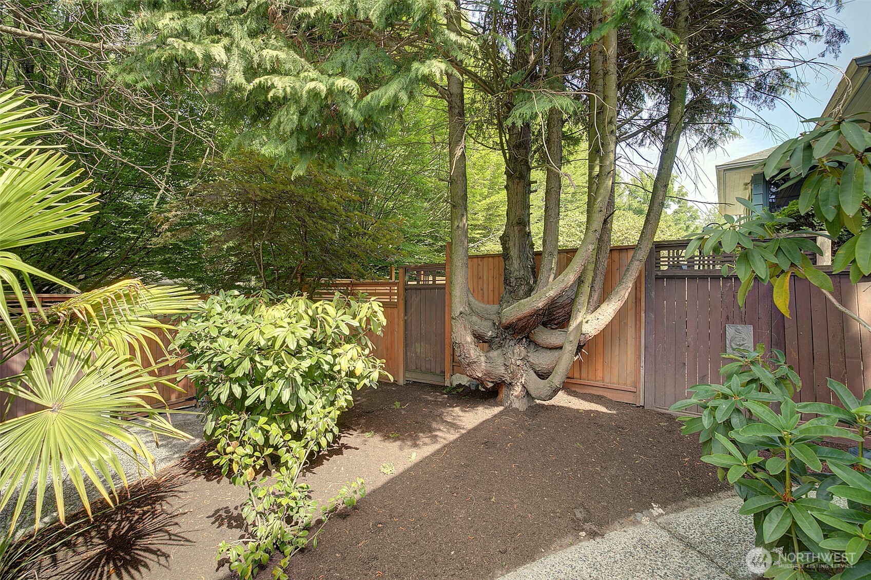 Seattle, Washington, 98126, United States, 3 Bedrooms Bedrooms, ,2 BathroomsBathrooms,Residential,For Sale,1882330