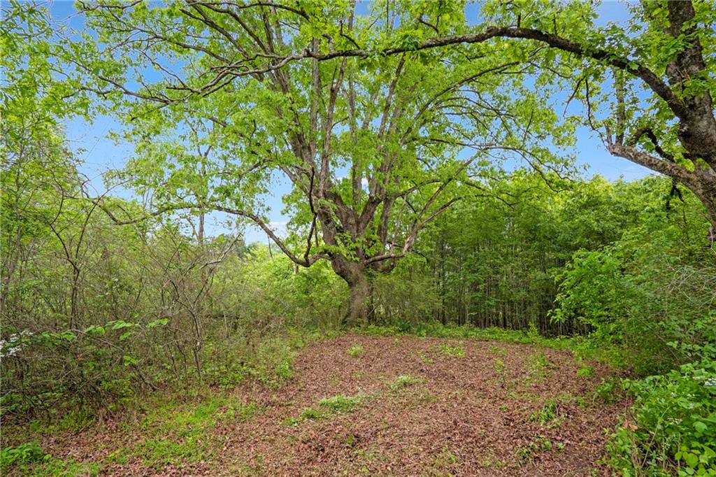 Alpharetta, Georgia, 30004, United States, ,Land,For Sale,1793114