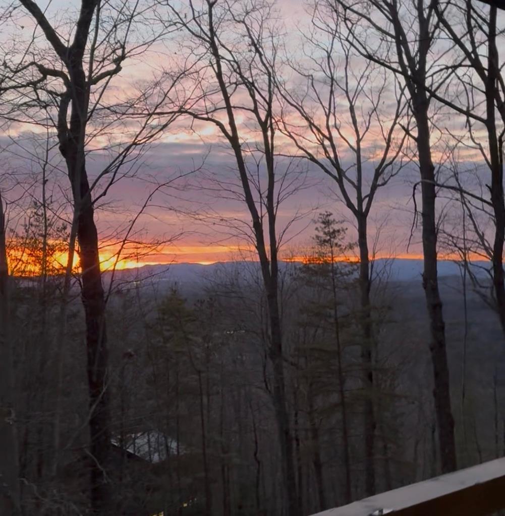 Mineral Bluff, Georgia, 30559, United States, 3 Bedrooms Bedrooms, ,3 BathroomsBathrooms,Residential,For Sale,2006593