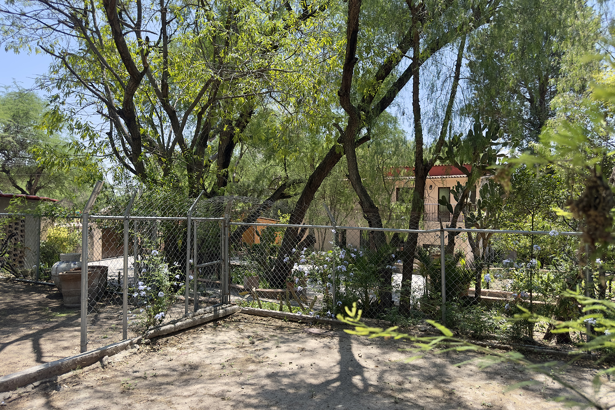  Casa Ciene - 物件實景