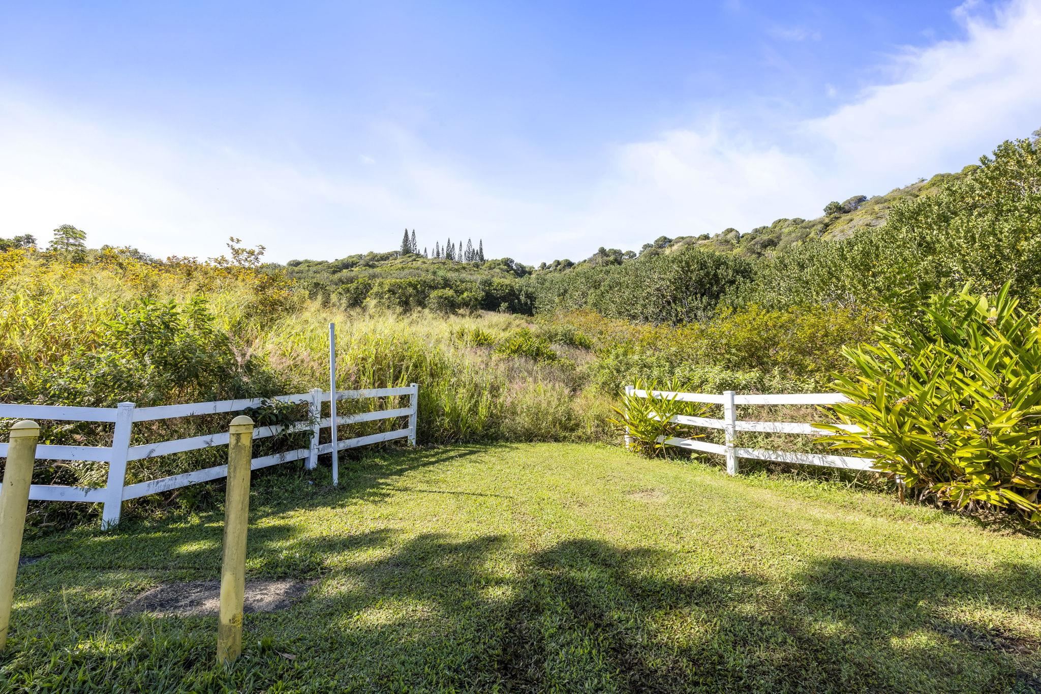 63 Lahaole Pl, Wailuku, Hawaii, 96793, United States, ,Land,For Sale,63 Lahaole Pl,1676772
