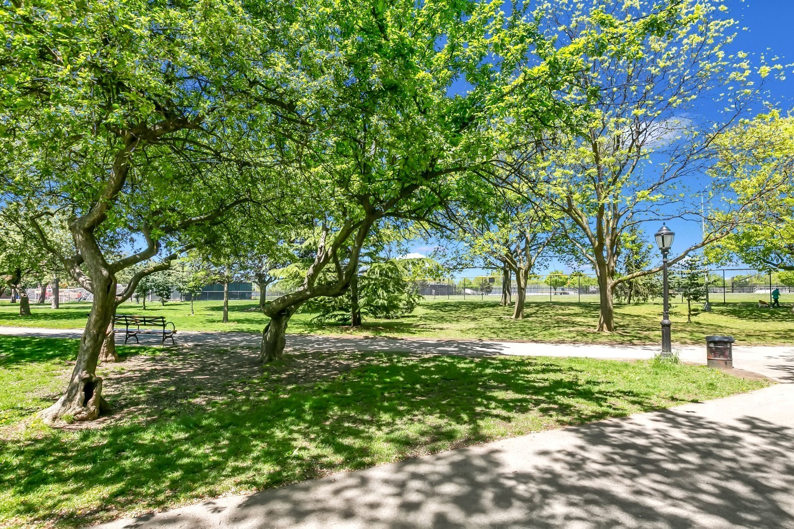 Middle Village, New York, 11379, United States, 2 Bedrooms Bedrooms, ,2 BathroomsBathrooms,Residential,For Sale,1941083