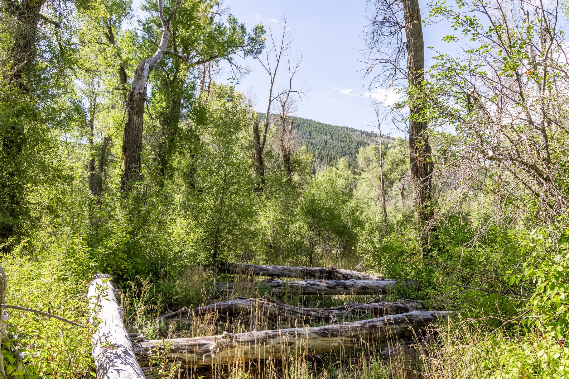  Rare Weber River Frontage Homesite - 物件實景