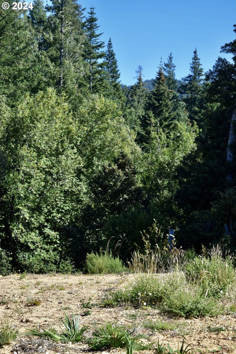 Port Orford, Oregon, 97465, United States, ,Land,For Sale,1977705