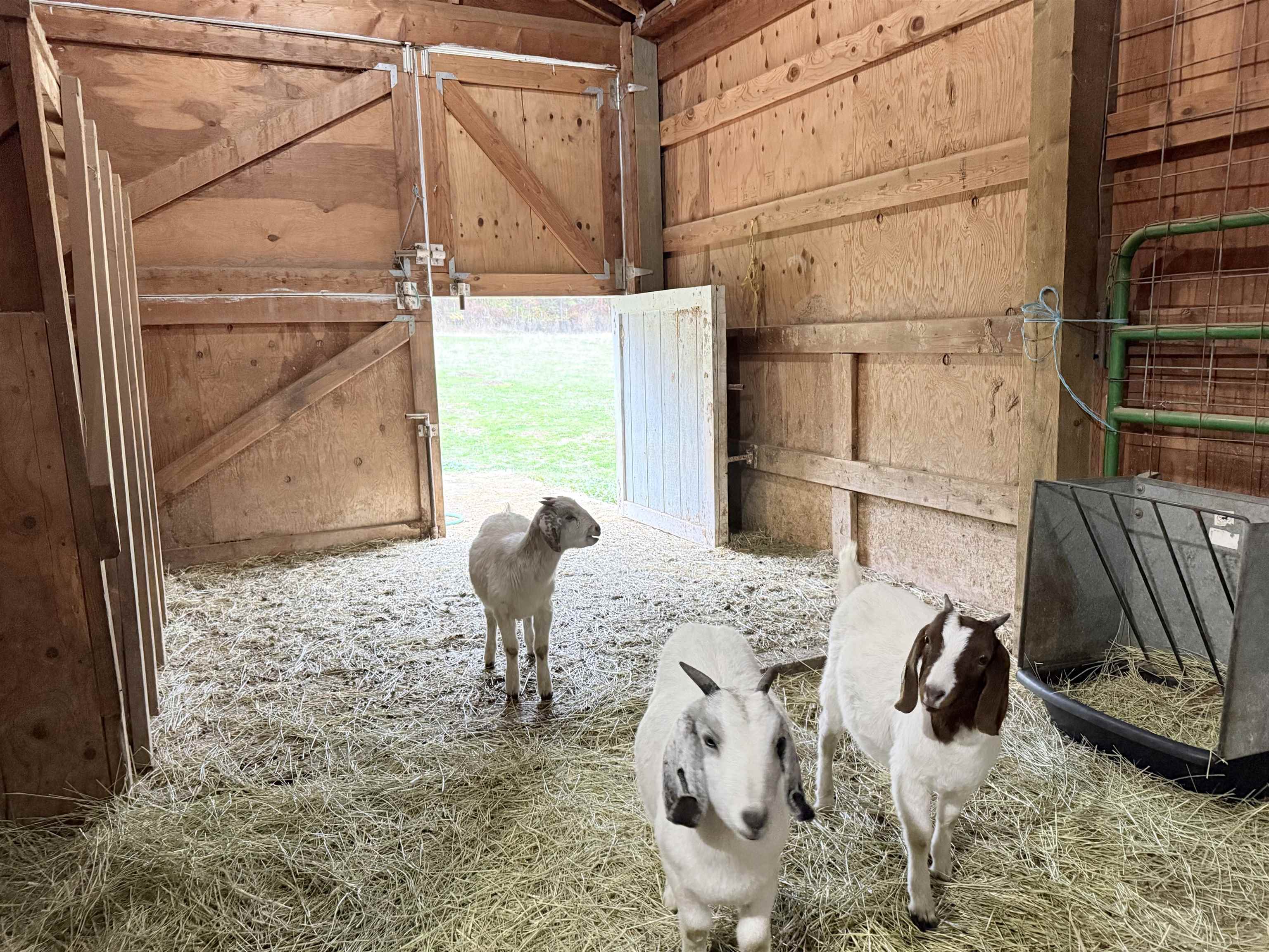 Deer Park, Washington, 99006, United States, 4 Bedrooms Bedrooms, ,3 BathroomsBathrooms,Residential,For Sale,1992007