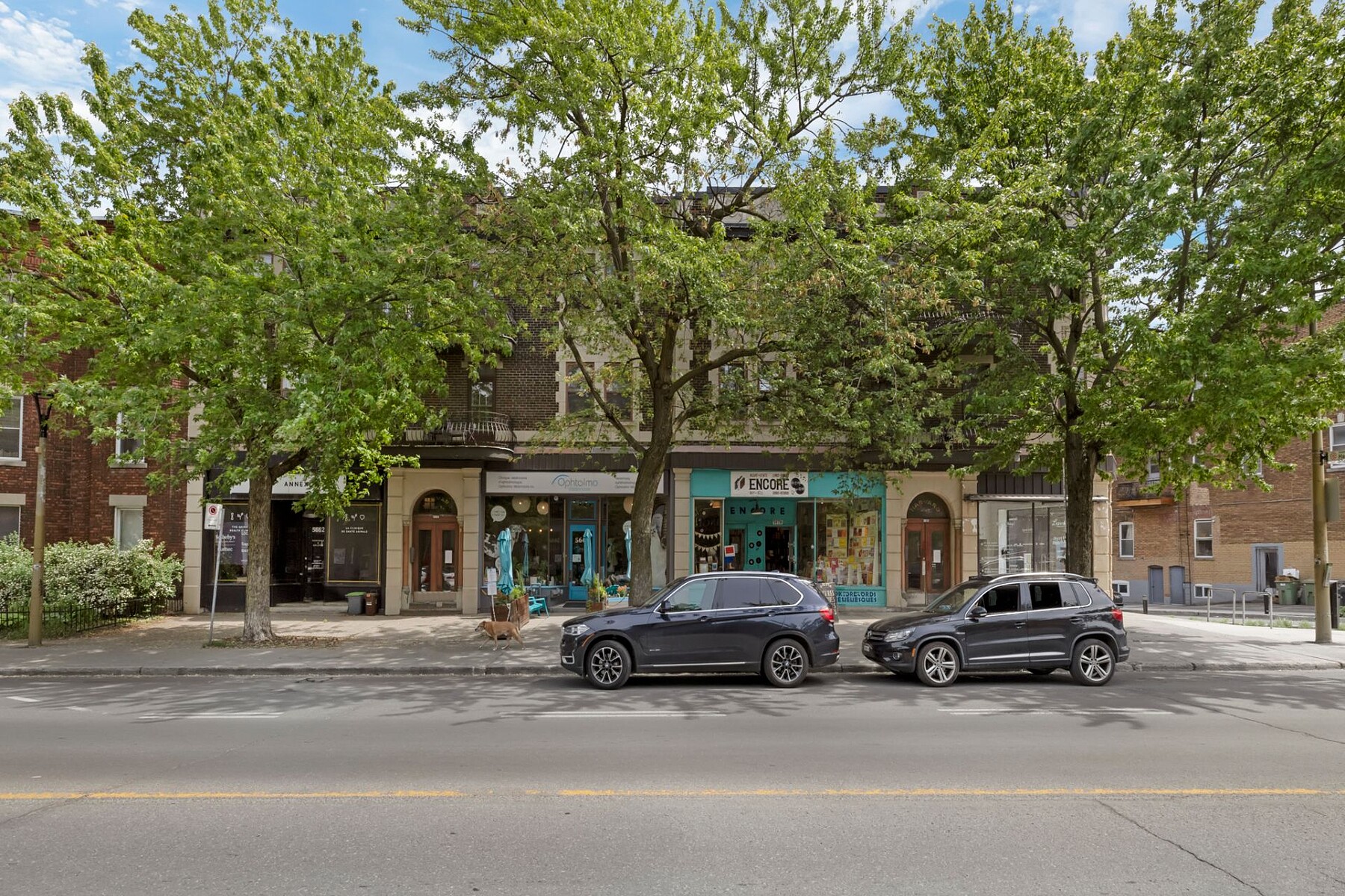  Côte-des-Neiges / Notre-Dame-de-Grâce, Montréal - 物件實景