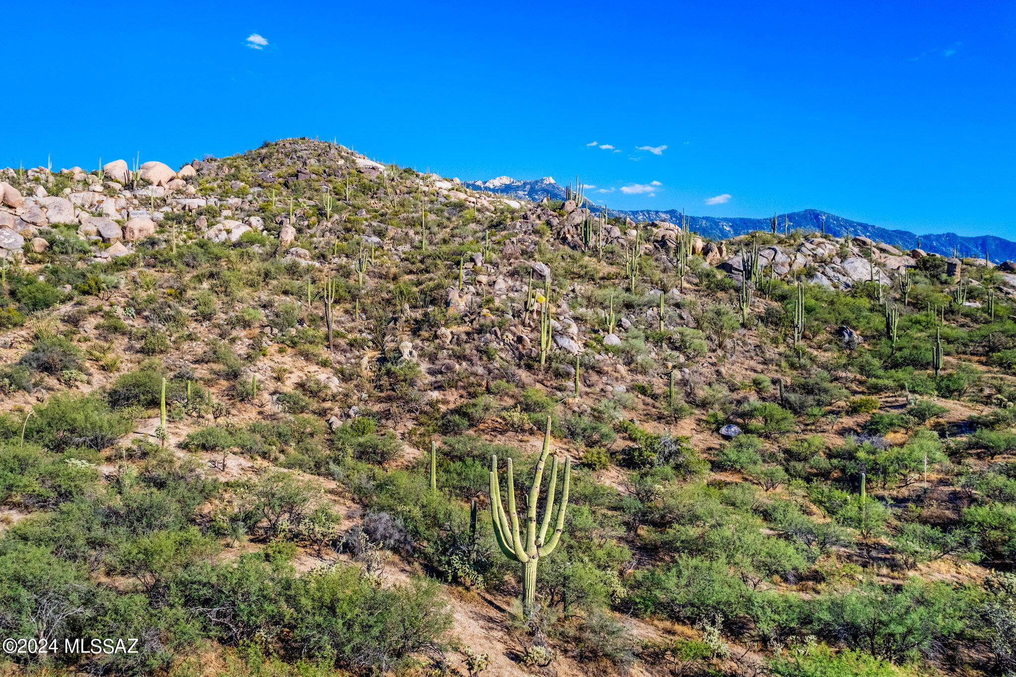 Tucson, Arizona, 85739, United States, ,Land,For Sale,1744993
