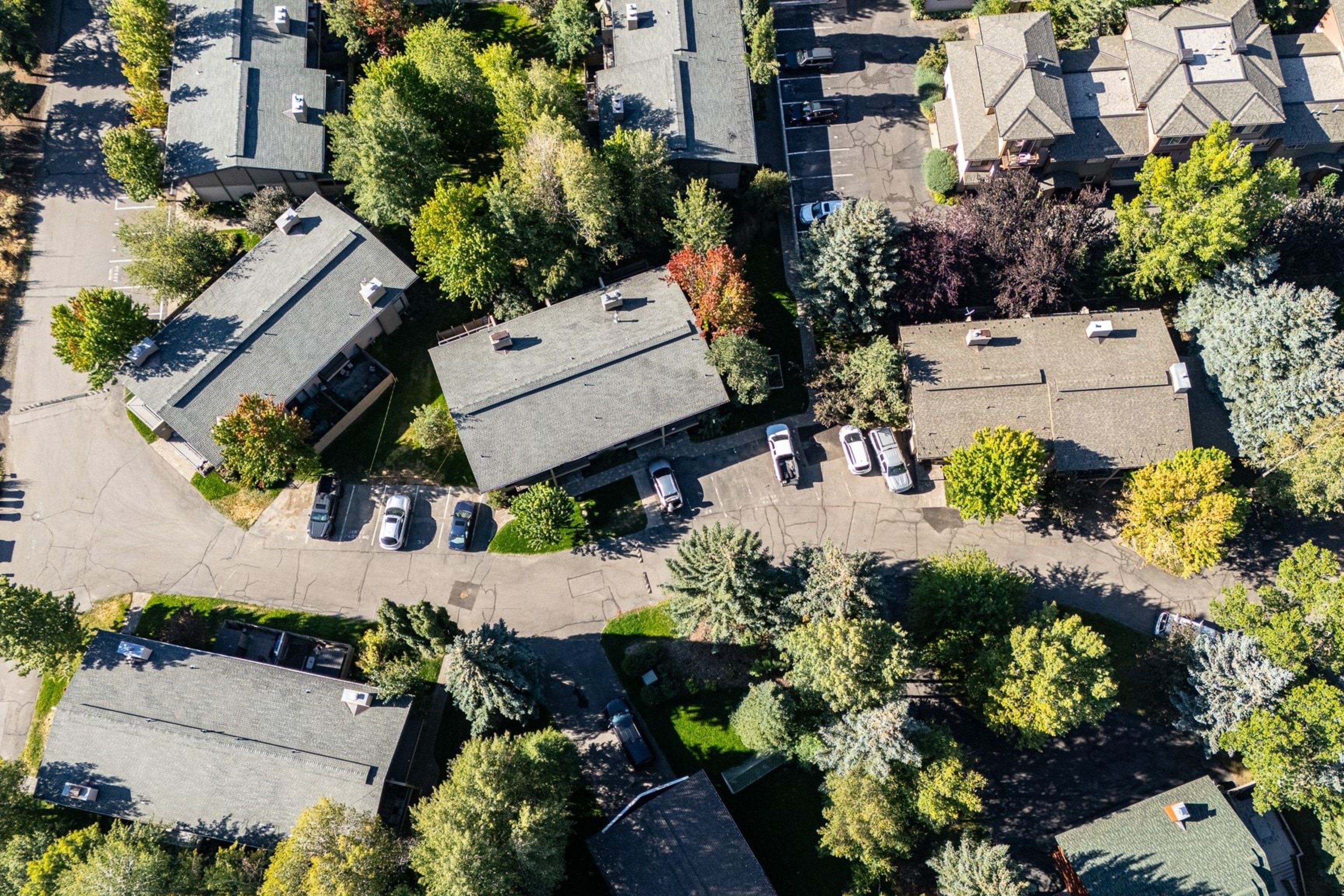  Warm Springs Townhome - 物件實景