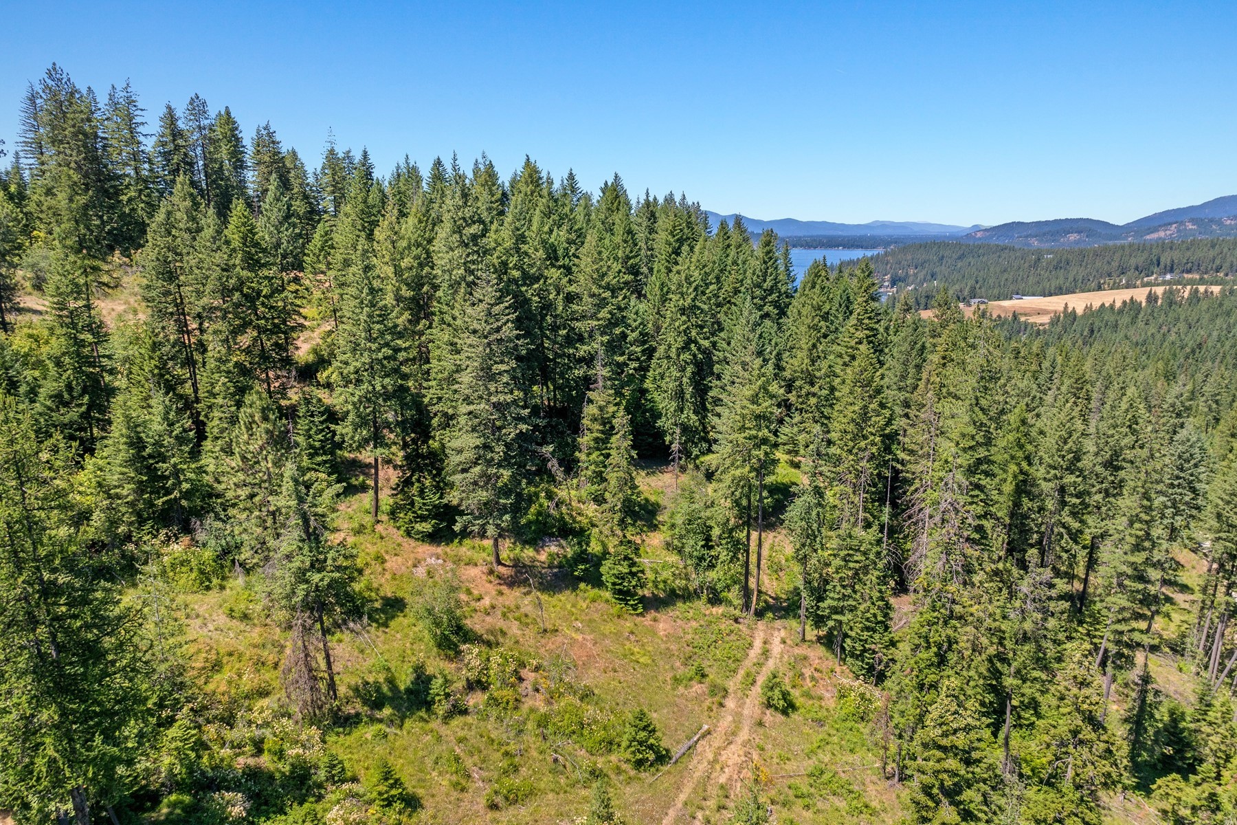  Eagles Mere Ranchette w SHOP - 物件實景