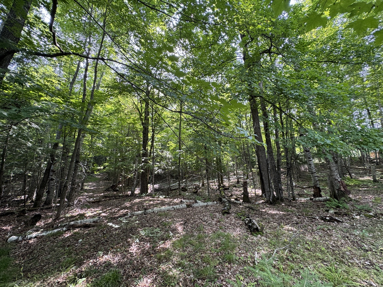 Mercer, Wisconsin, 54547, United States, 3 Bedrooms Bedrooms, ,1 BathroomBathrooms,Residential,For Sale,1974621