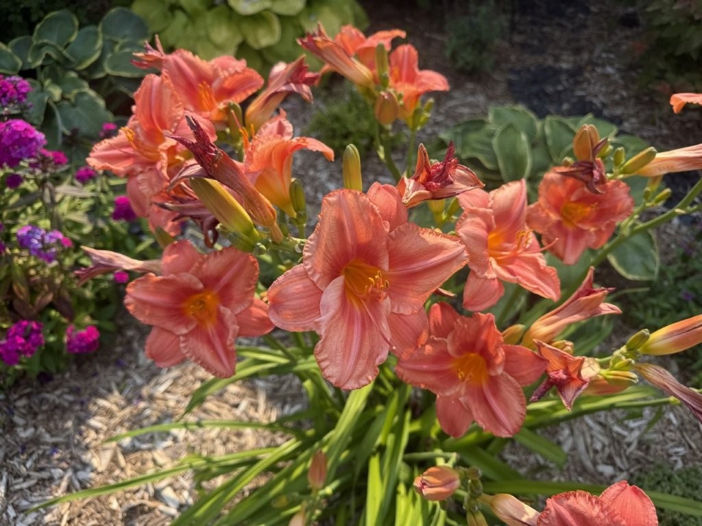 Bemidji, Minnesota, 56601, United States, 6 Bedrooms Bedrooms, ,2 BathroomsBathrooms,Residential,For Sale,2000102