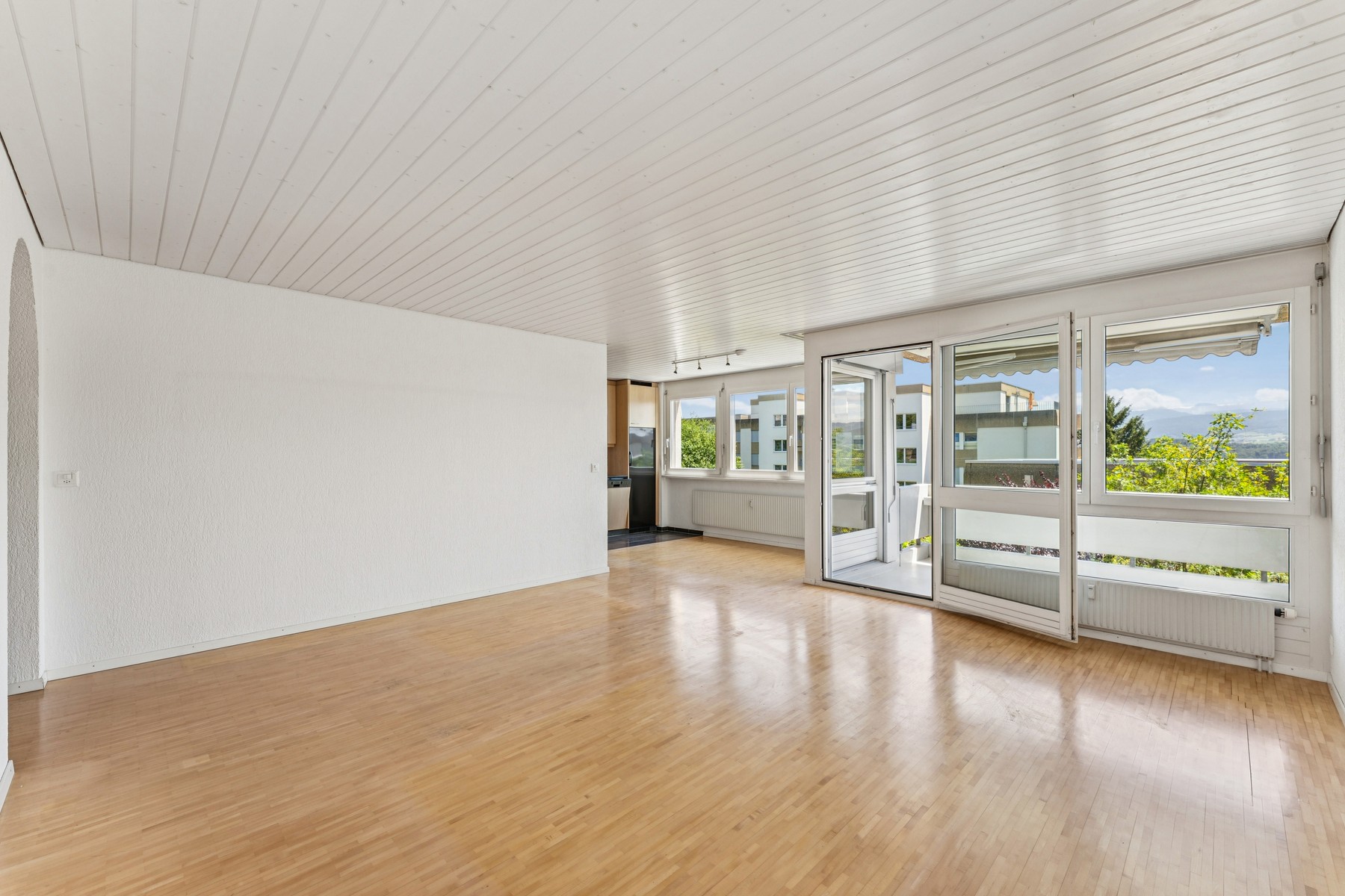 4.5-room apartment with 2 balconies - 物件實景