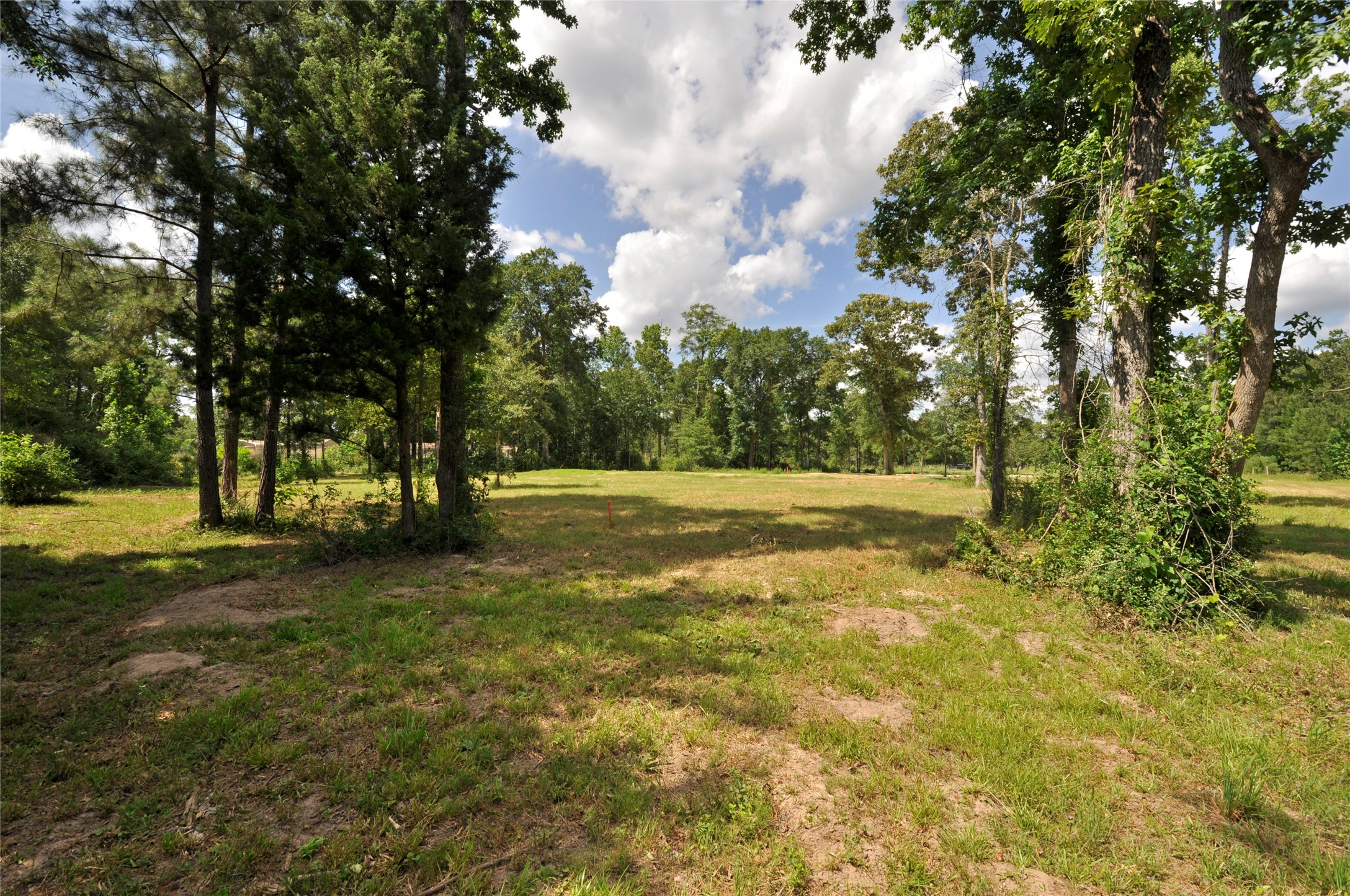 Magnolia, Texas, 77355, United States, ,Land,For Sale,1896028