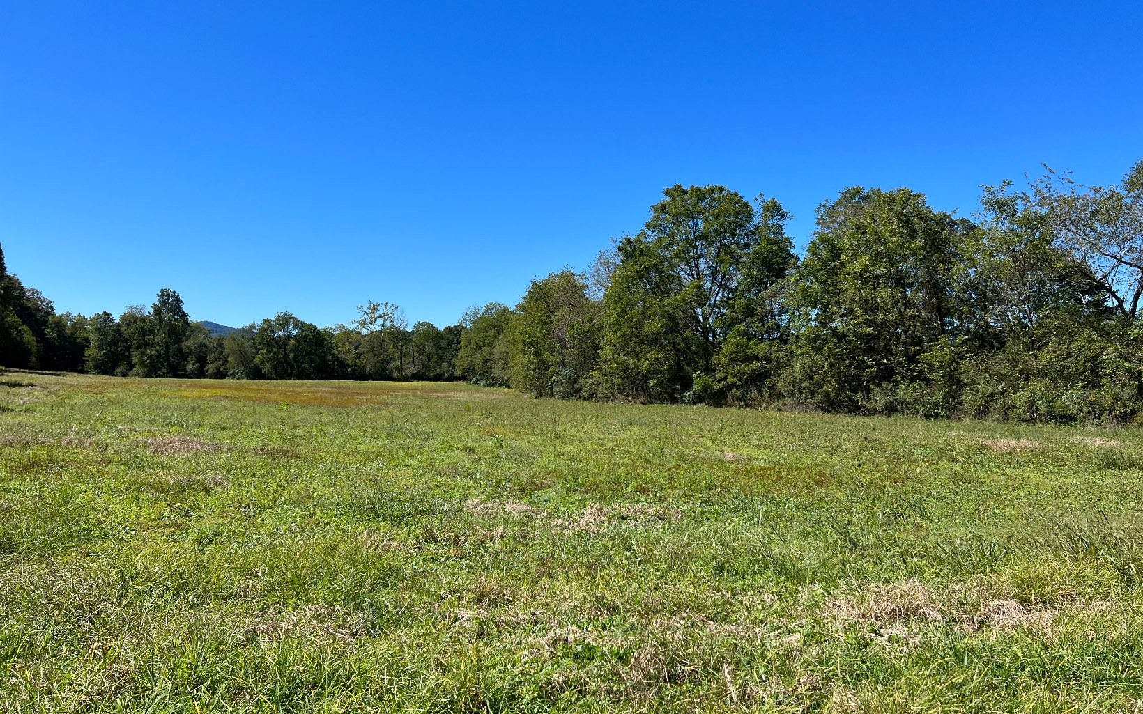 Hayesville, North Carolina, 28904, United States, ,Residential,For Sale,1943293