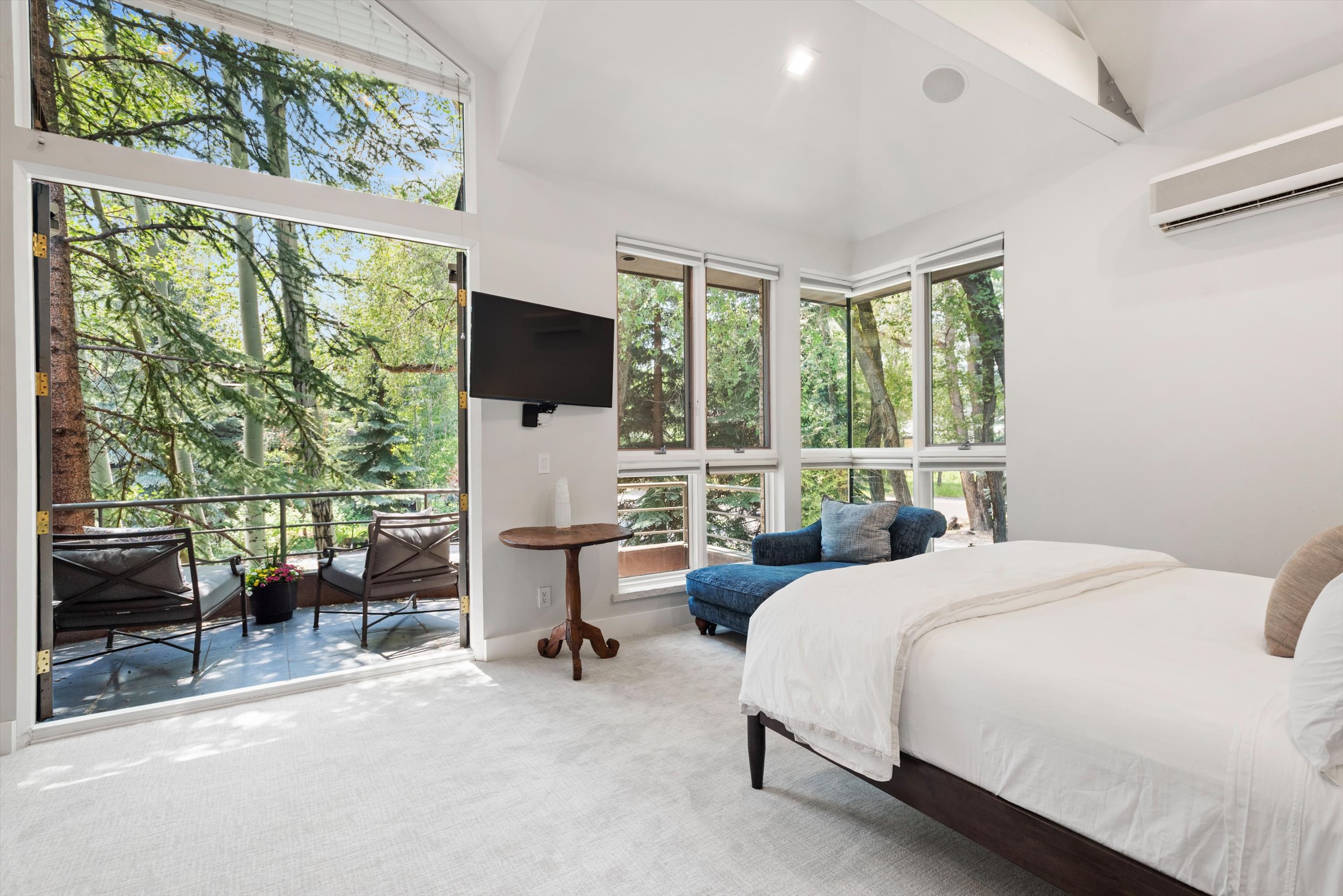  736 W Smuggler Street, Aspen, CO, 81611 - 物件實景