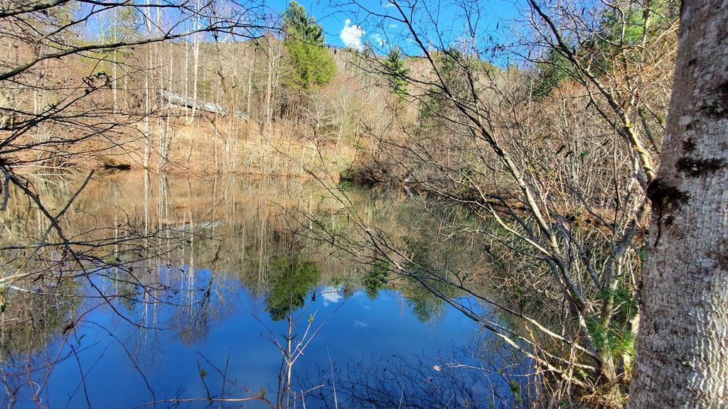Cherry Log, Georgia, 30522, United States, ,Land,For Sale,1858995