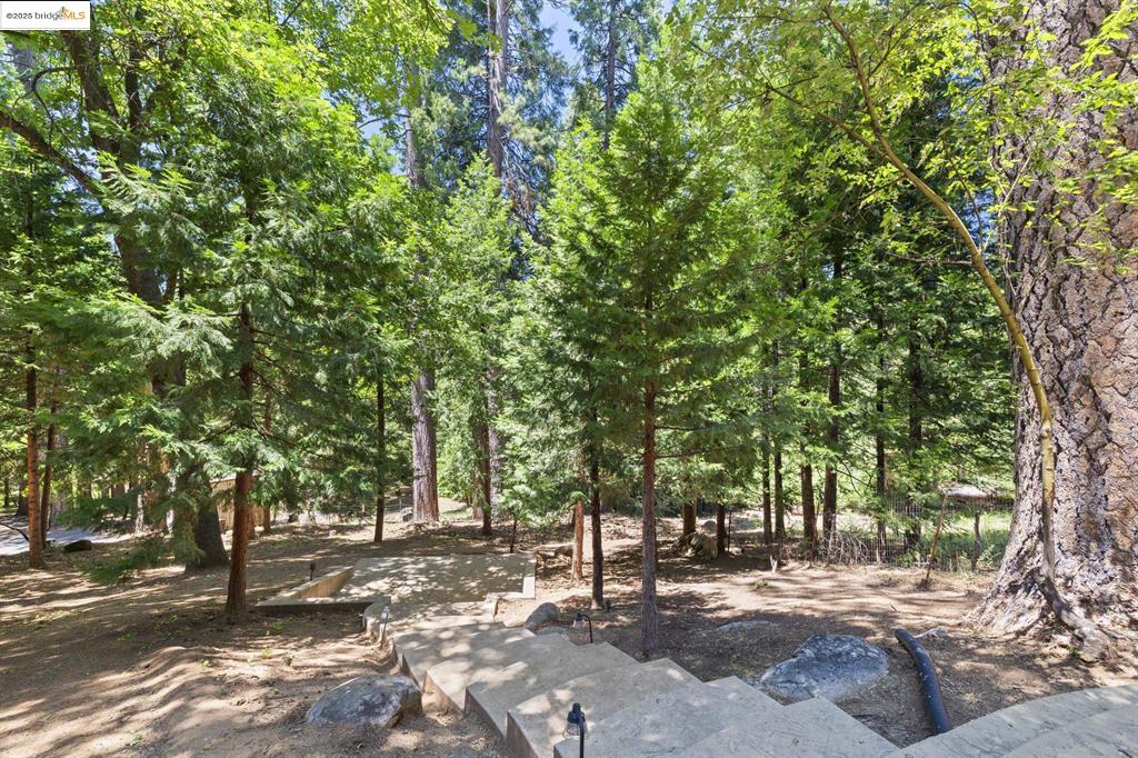Twain Harte, California, 95383, United States, 3 Bedrooms Bedrooms, ,3 BathroomsBathrooms,Residential,For Sale,1862195