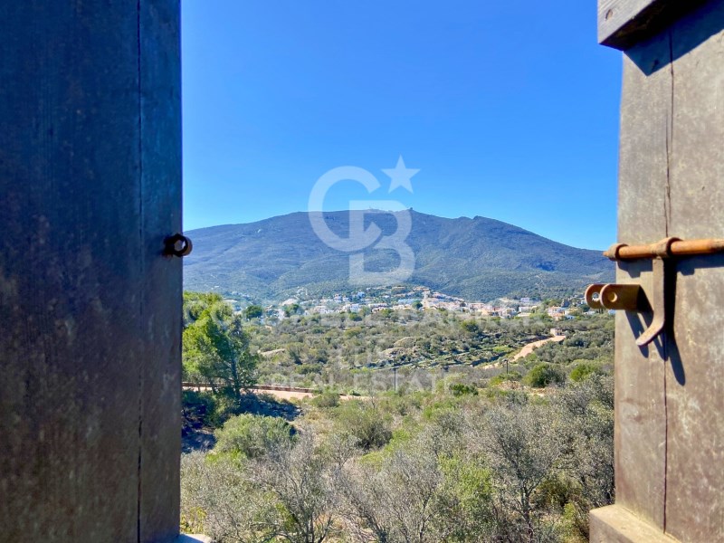 Cadaqués, Catalonia, ES, 12 Bedrooms Bedrooms, ,6 BathroomsBathrooms,Residential,For Sale,1751854