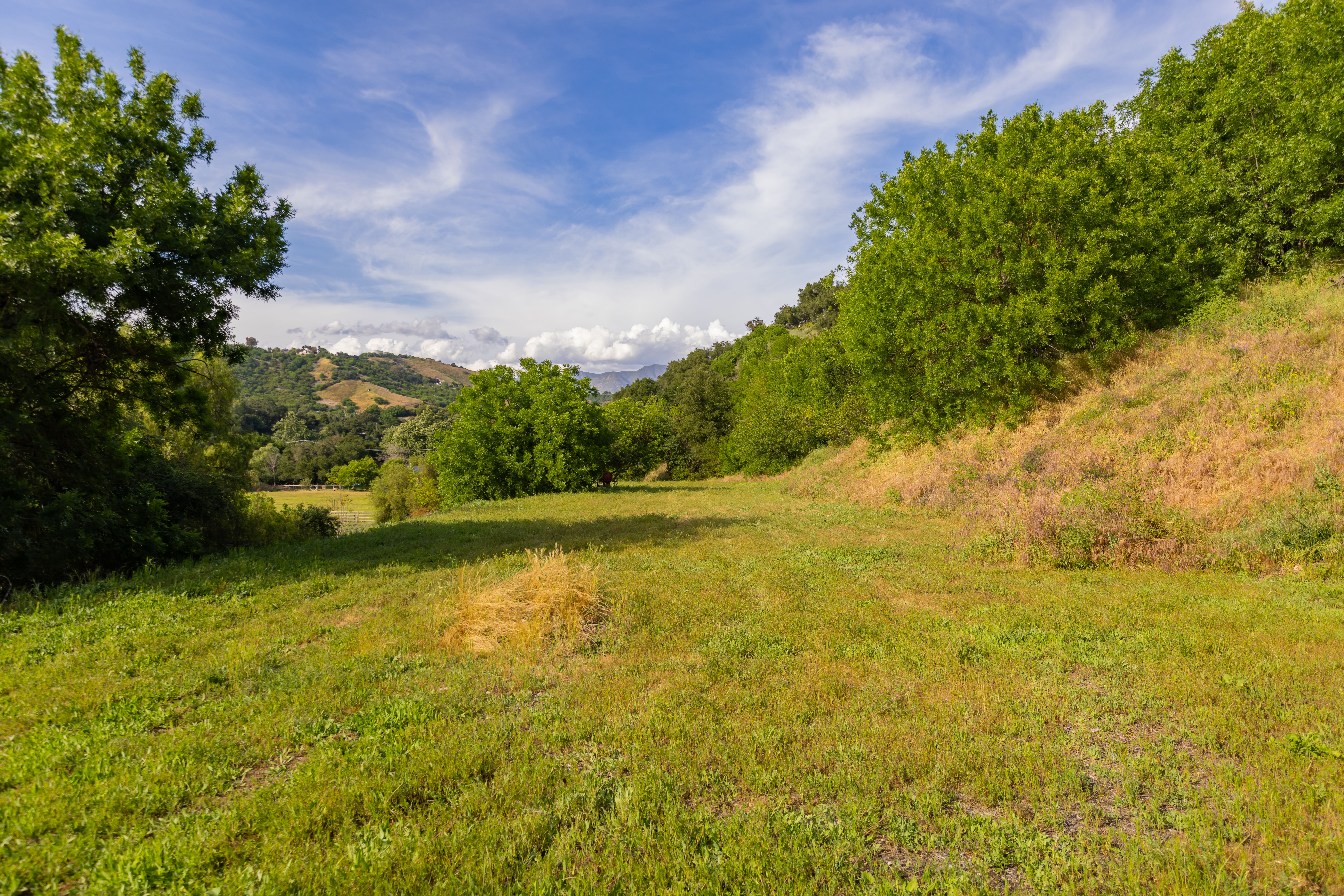  1345 Fraser Lane, Ojai, CA 93023 - 物件實景
