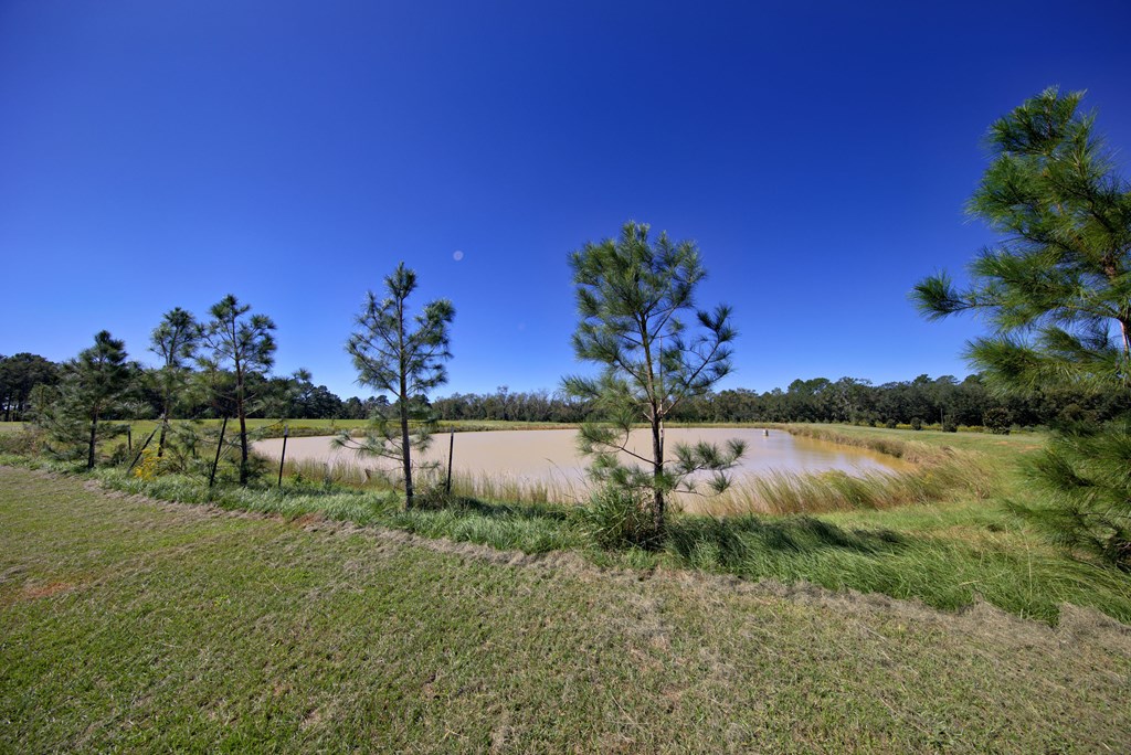 Pavo, Georgia, 31778, United States, ,Residential,For Sale,1988640