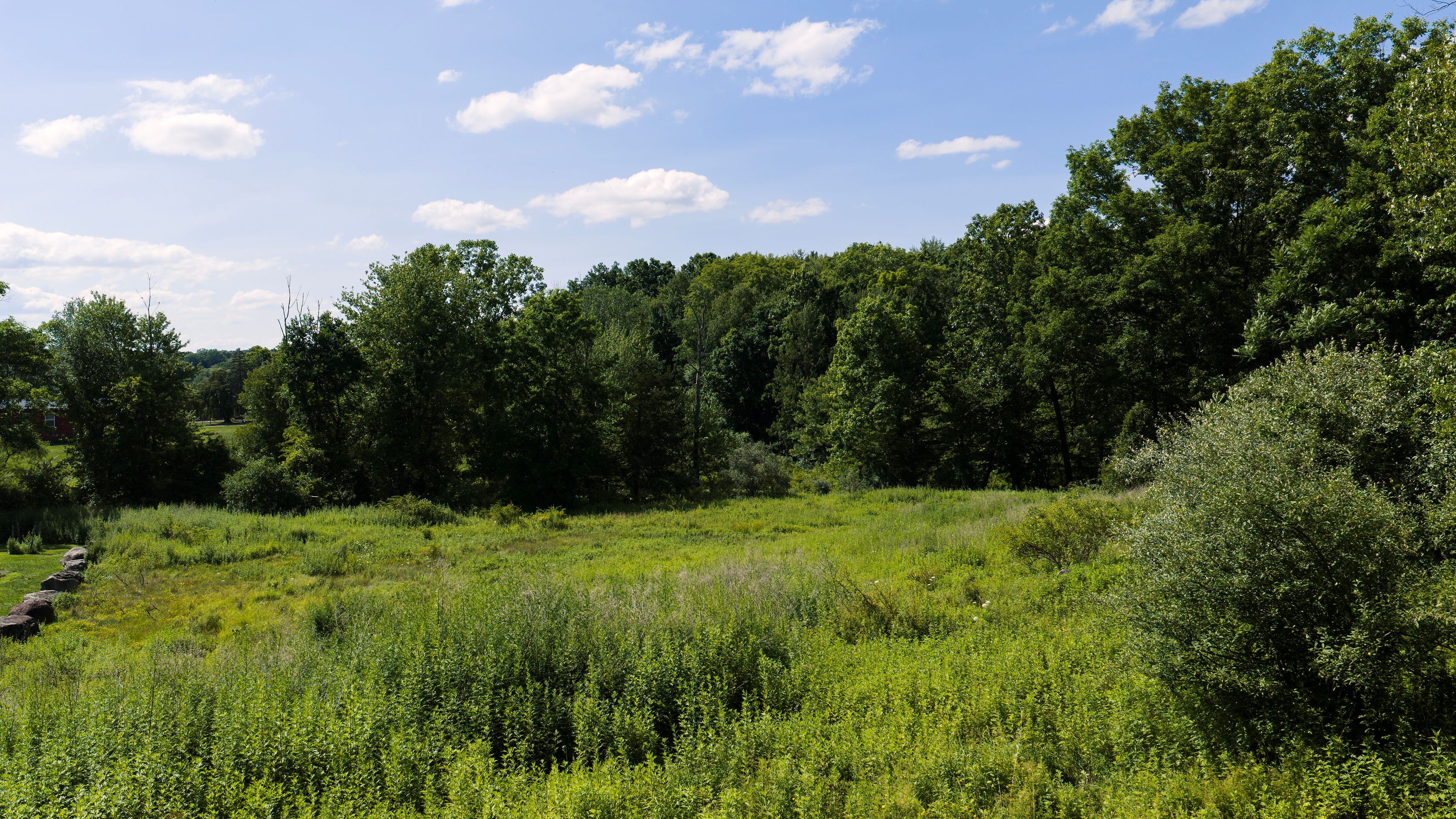  19 Spruce Street, Highland, NY 12528 - 物件實景