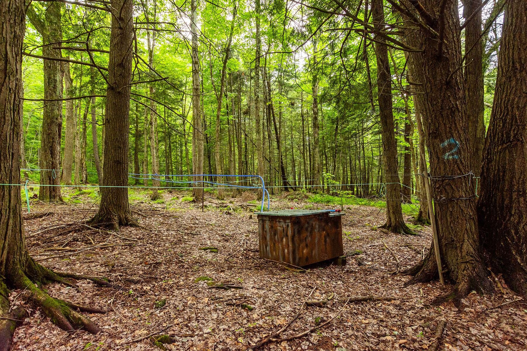  Bromont, Eastern Townships - 物件實景