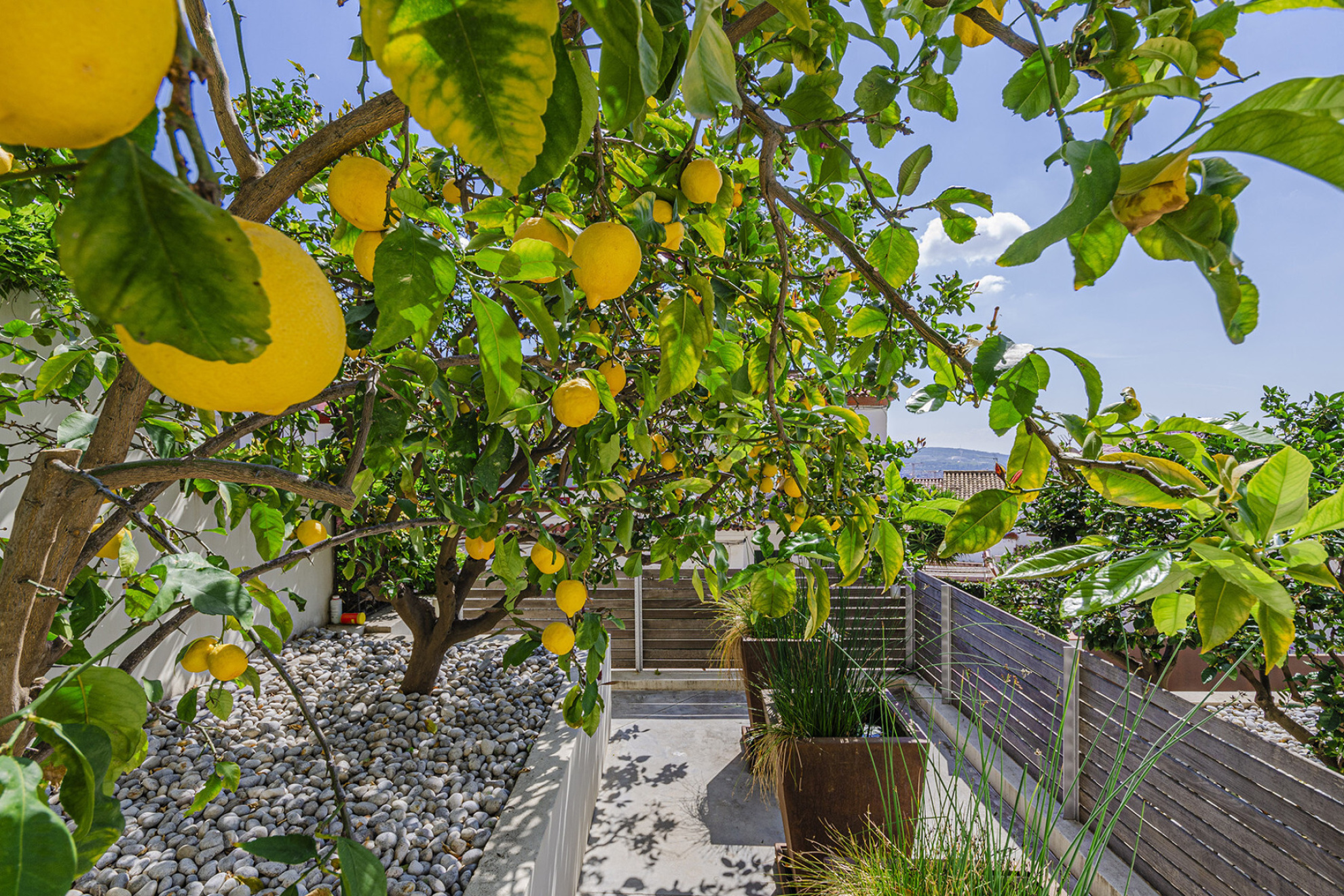  Property with breathtaking views surrounded by tropical garden - 物件實景