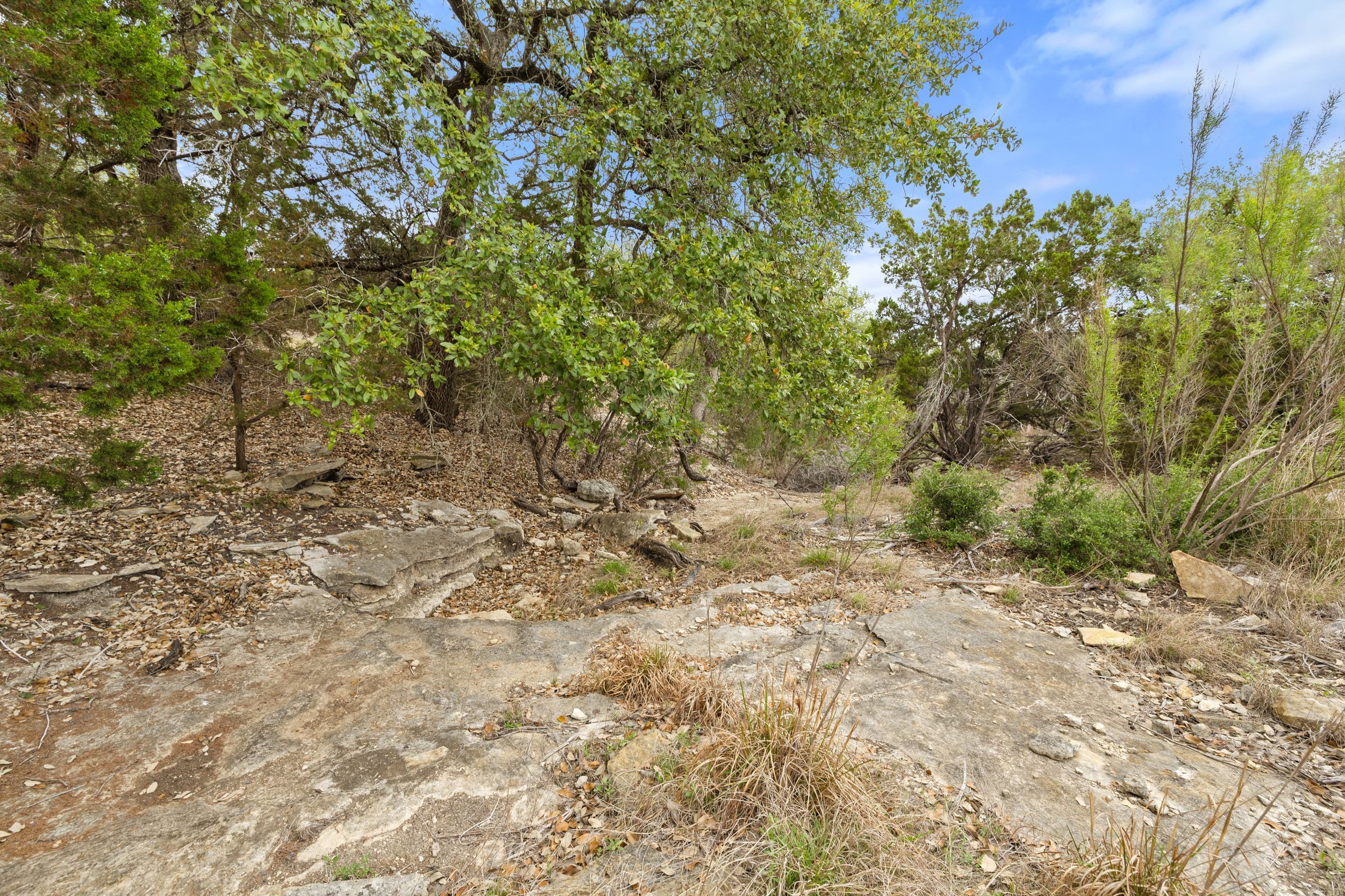  83 S Flat Rock Way - 5 Acre Lot in Gated Legacy Hills - 物件實景