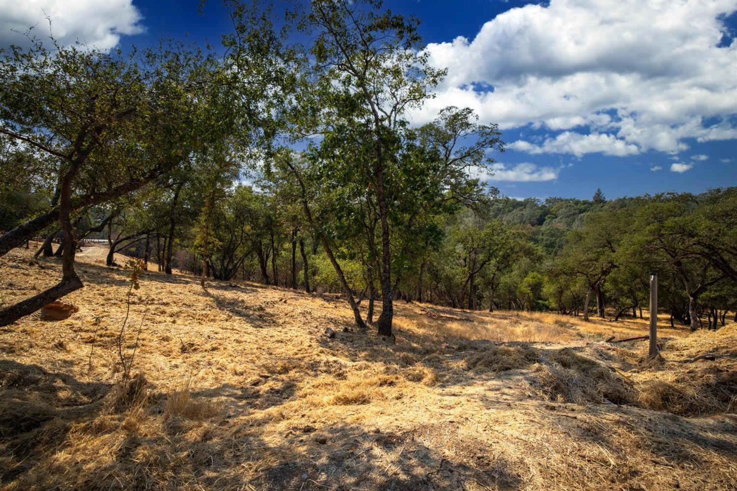 320 Raphael Court, El Dorado Hills, California, 95762, United States, ,Land,For Sale,320 Raphael Court,1643043