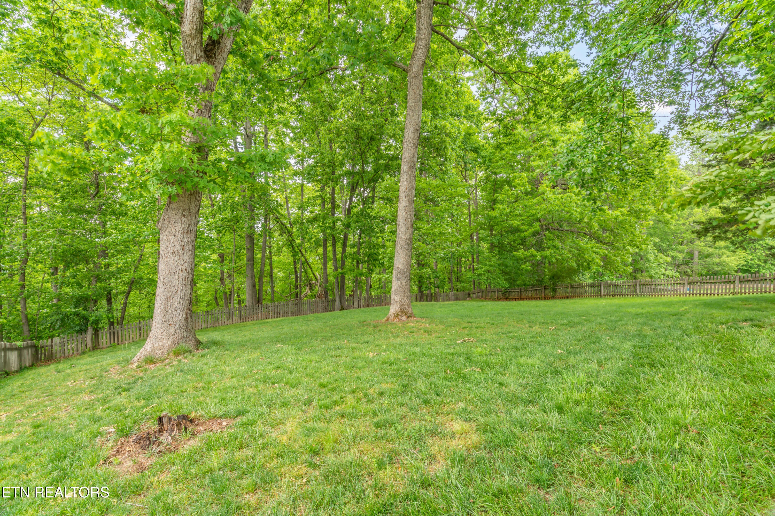 Kingston, Tennessee, 37763, United States, 3 Bedrooms Bedrooms, ,3 BathroomsBathrooms,Residential,For Sale,1762523