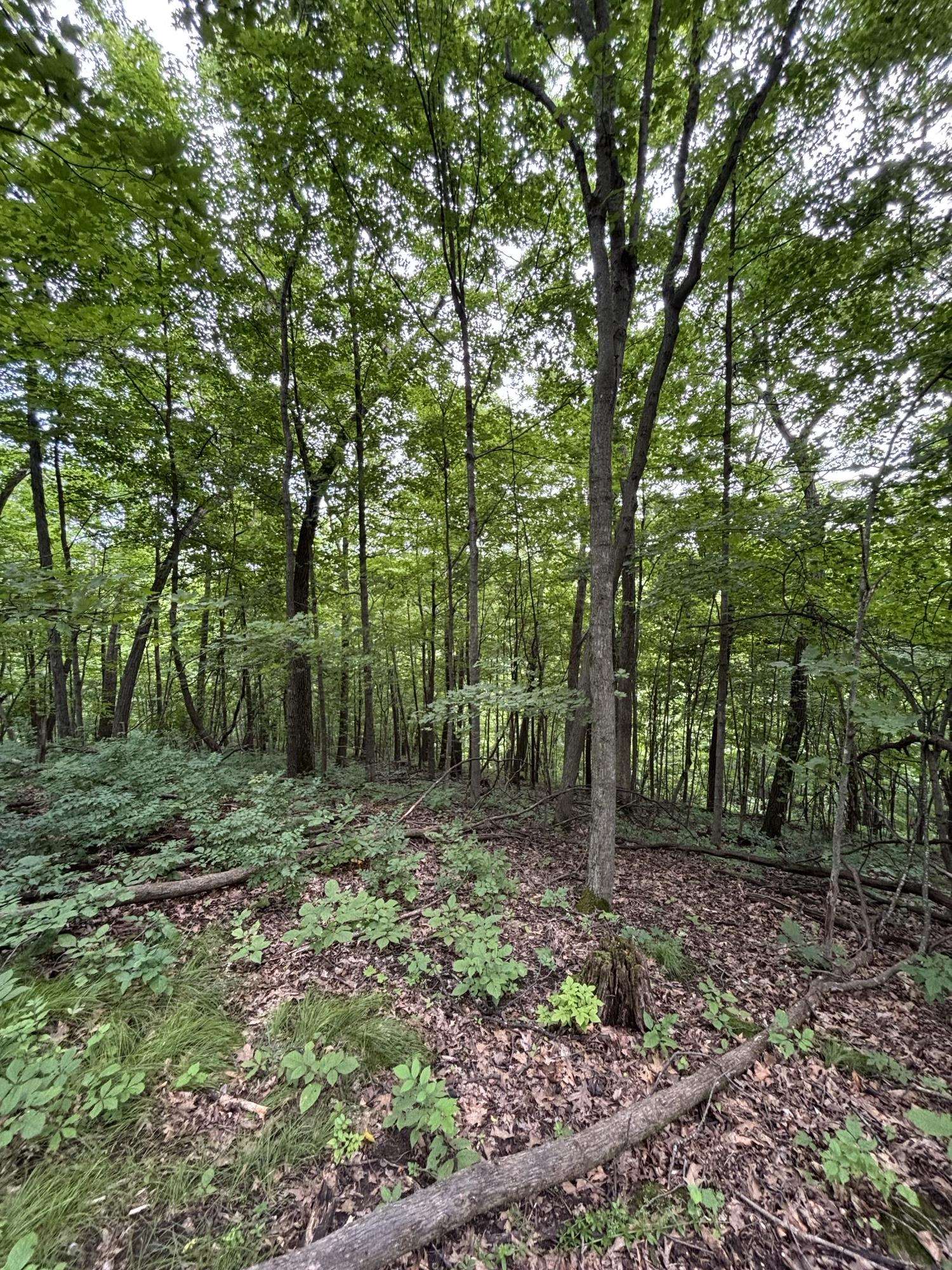 Gays Mills, Wisconsin, 54631, United States, ,Residential,For Sale,1928729