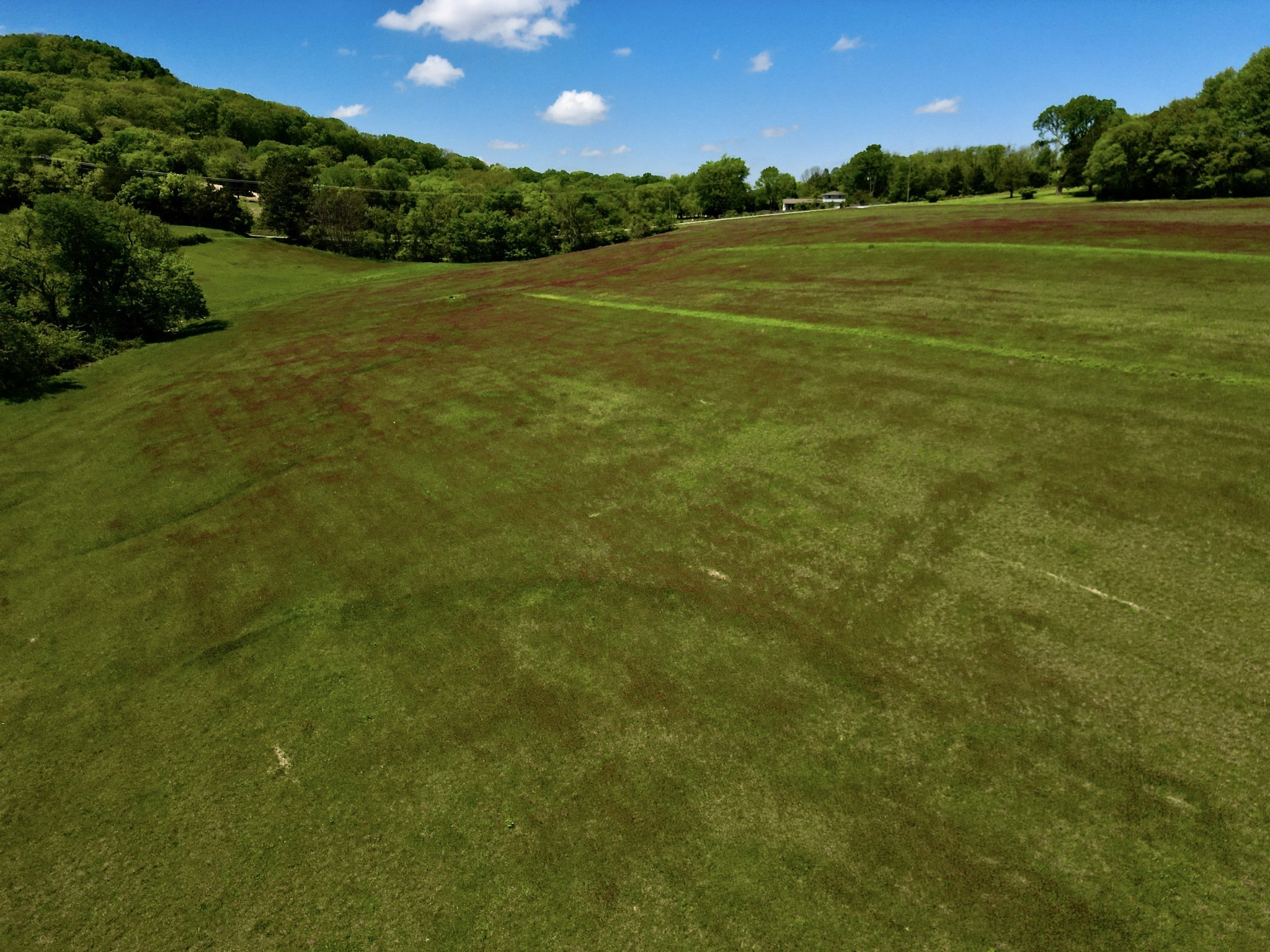  9591 Clovercroft Rd Lot 2, Franklin, TN, 37067 - 物件實景