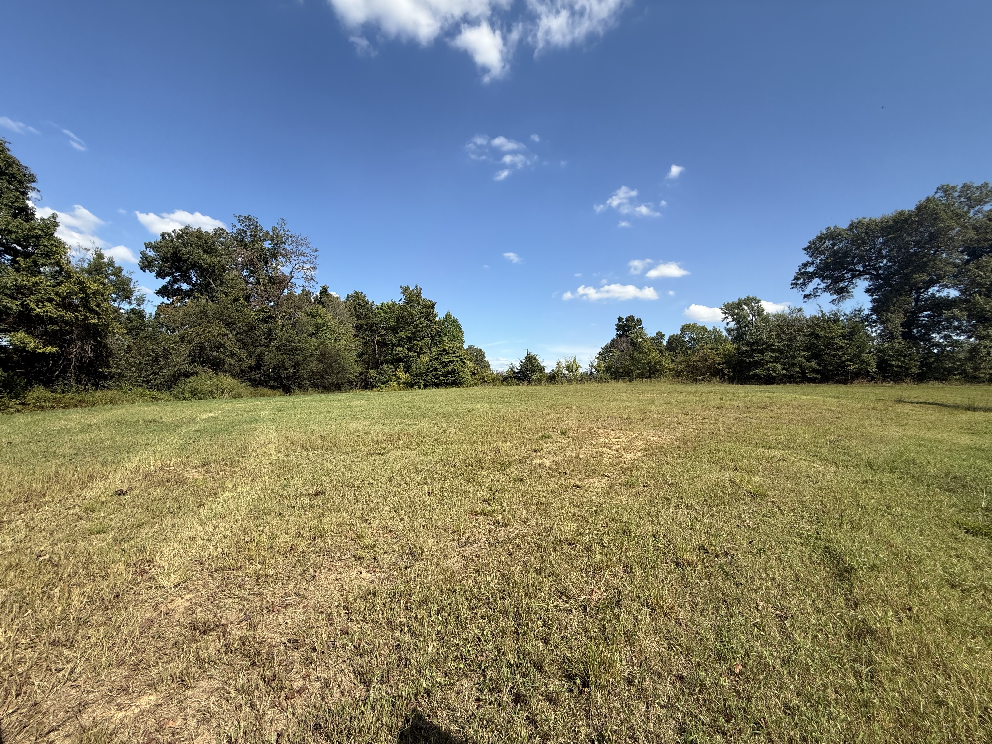 Union City, Tennessee, 38261, United States, ,Land,For Sale,1983547