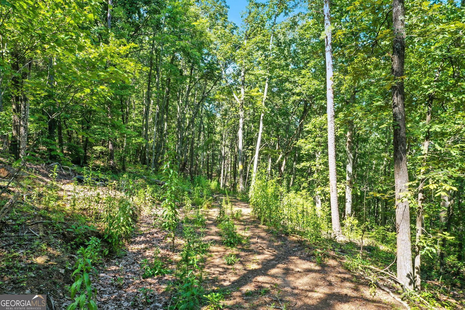 Waleska, Georgia, 30183, United States, ,Land,For Sale,1929808