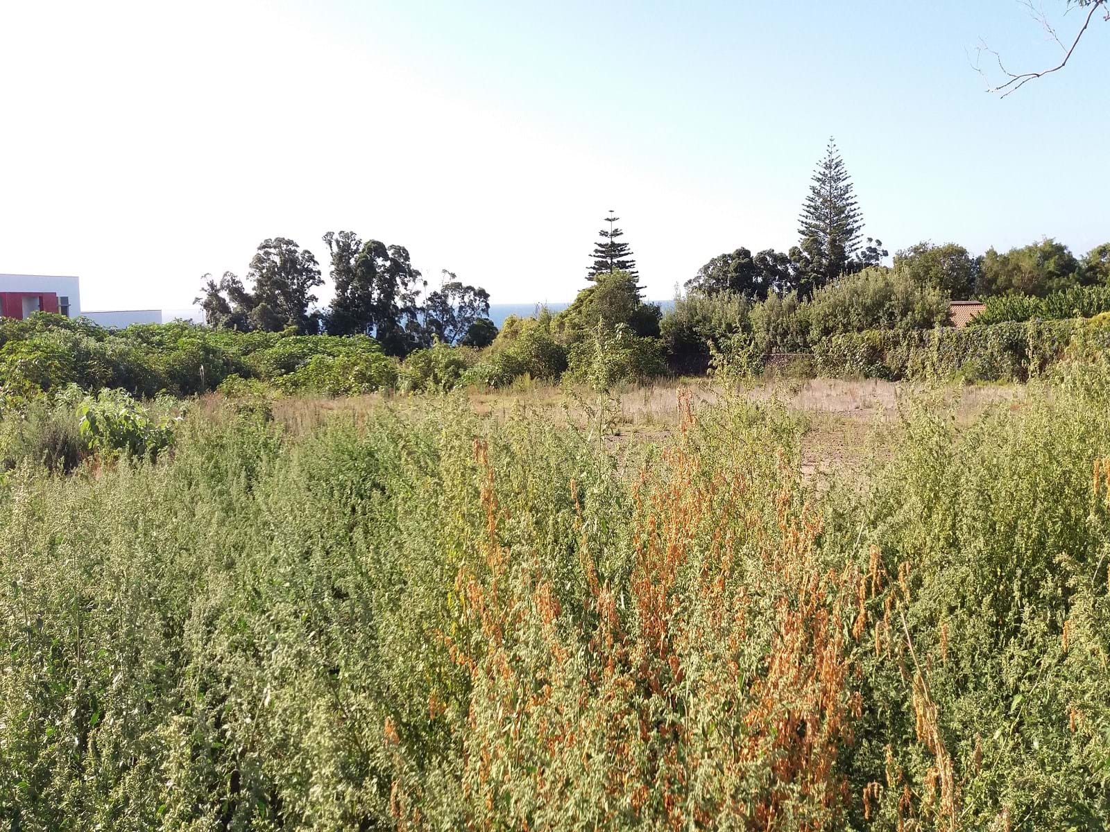 Ponta Delgada, Ilha de São Miguel, 9500-000, PT, ,Land,For Sale,1700309