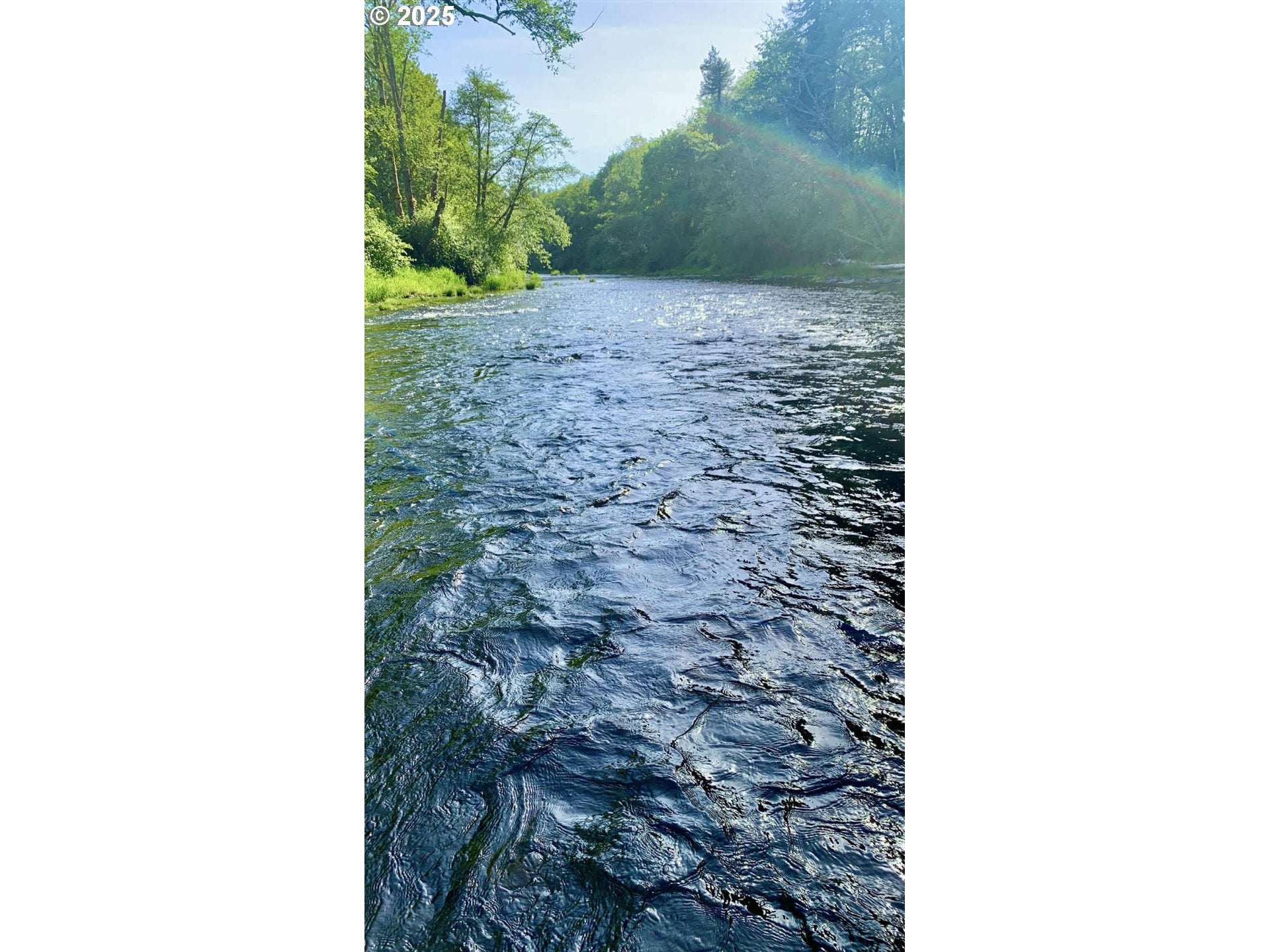 Beaver, Oregon, 97108, United States, 4 Bedrooms Bedrooms, ,2 BathroomsBathrooms,Residential,For Sale,1991728