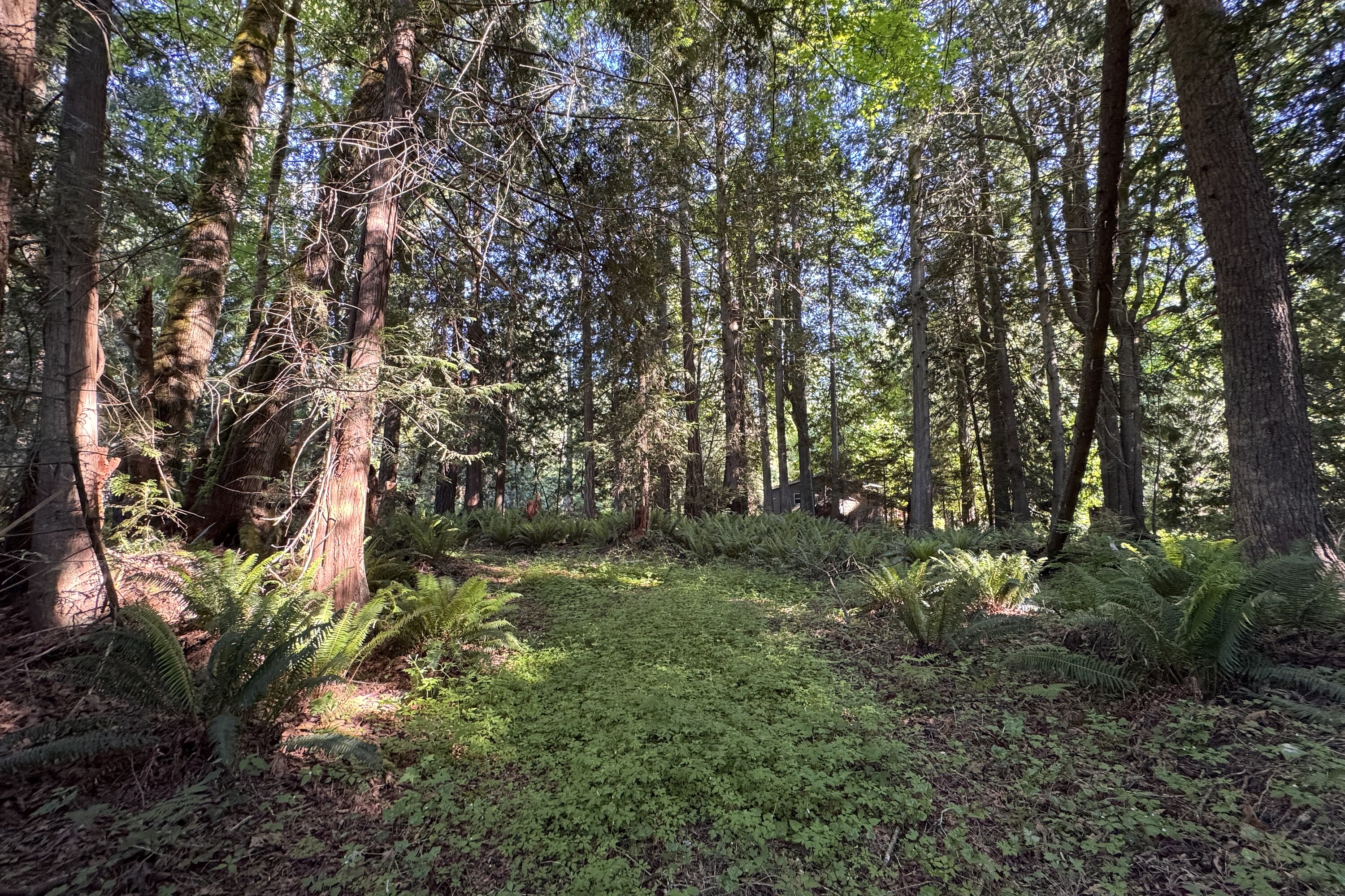  Sechelt, Sunshine Coast - 物件實景
