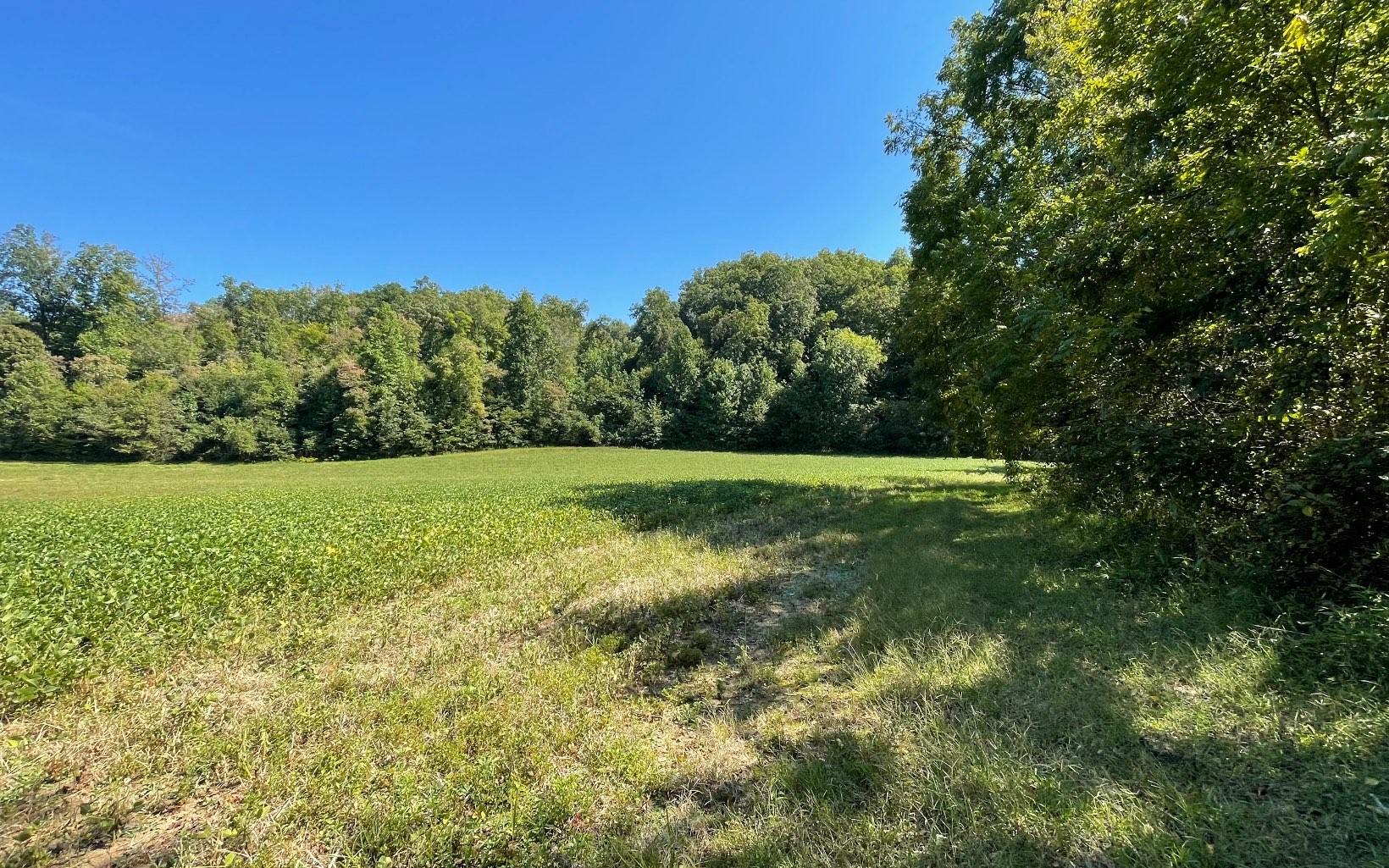 Hayesville, North Carolina, 28904, United States, ,Residential,For Sale,1943293