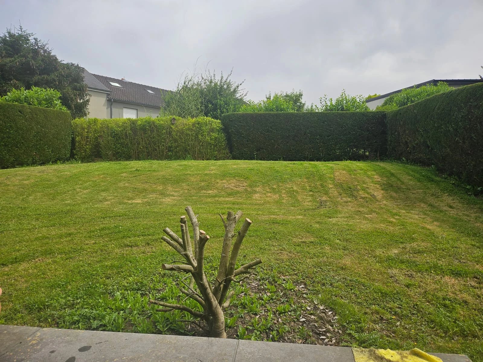 Junglinster, Canton de Grevenmacher, LU, ,Residential,For Sale,1998912