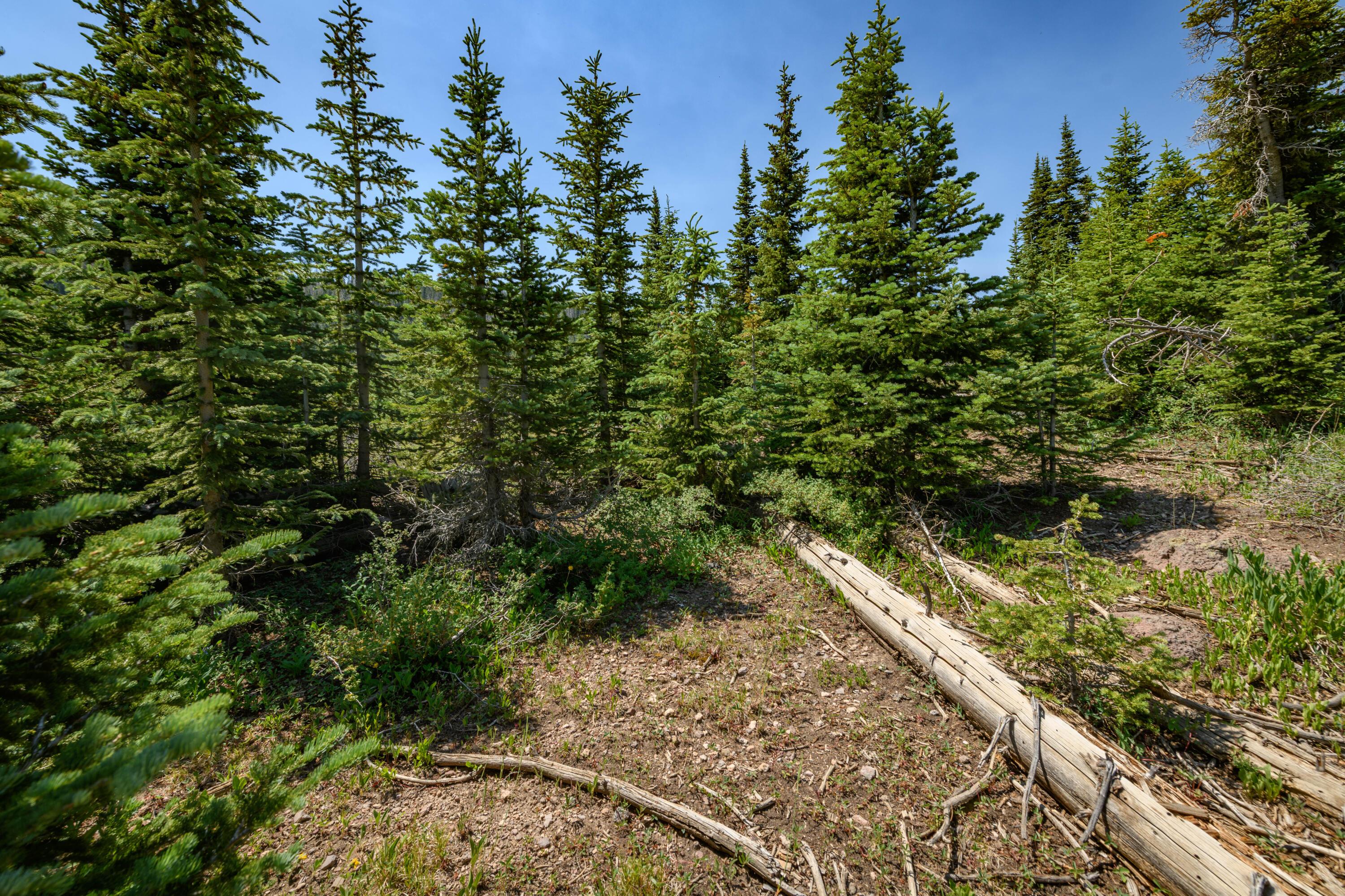 Brian Head, Utah, 84719, United States, ,Residential,For Sale,1983470