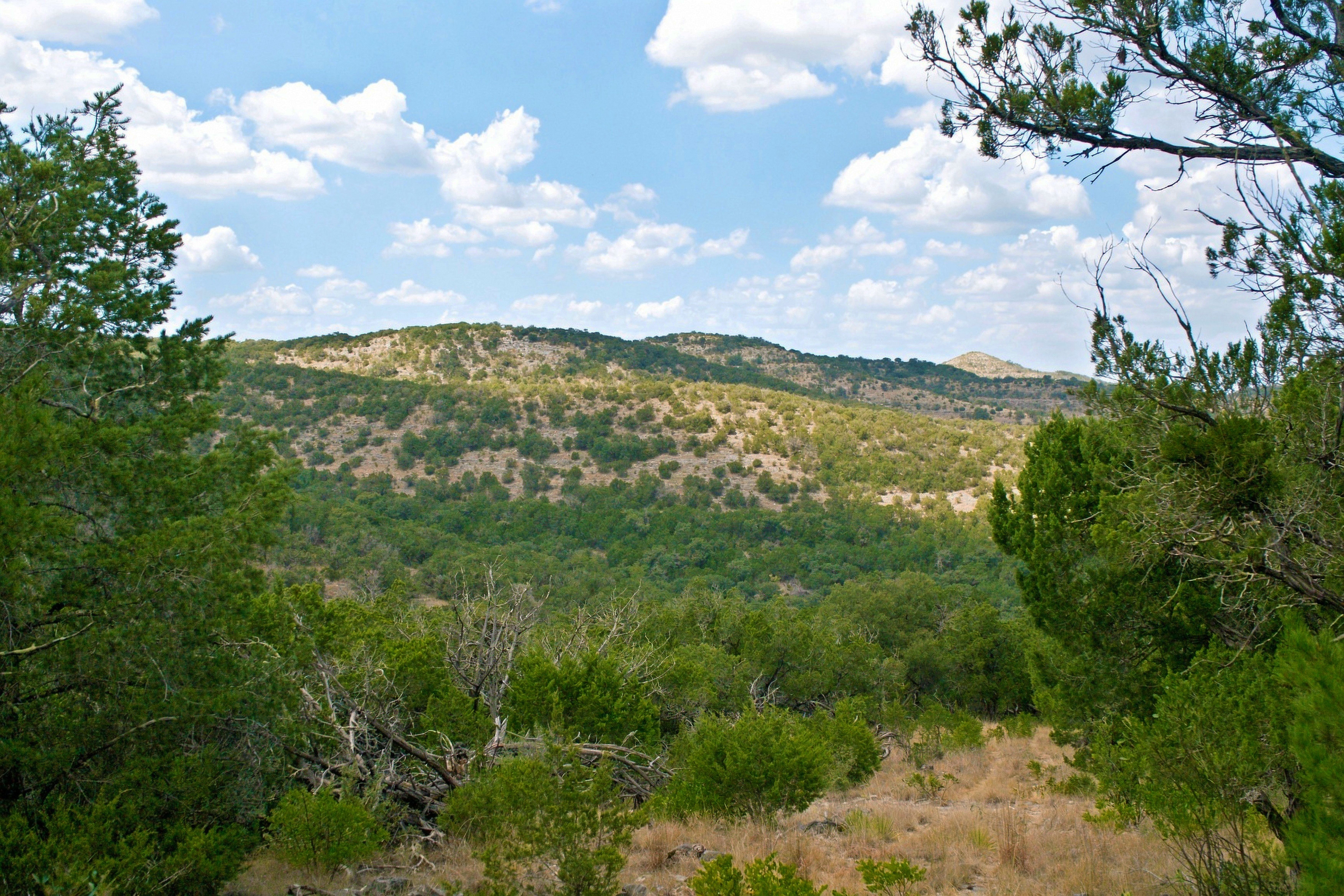  985+/- Acre 12 Springs Ranch - 物件實景