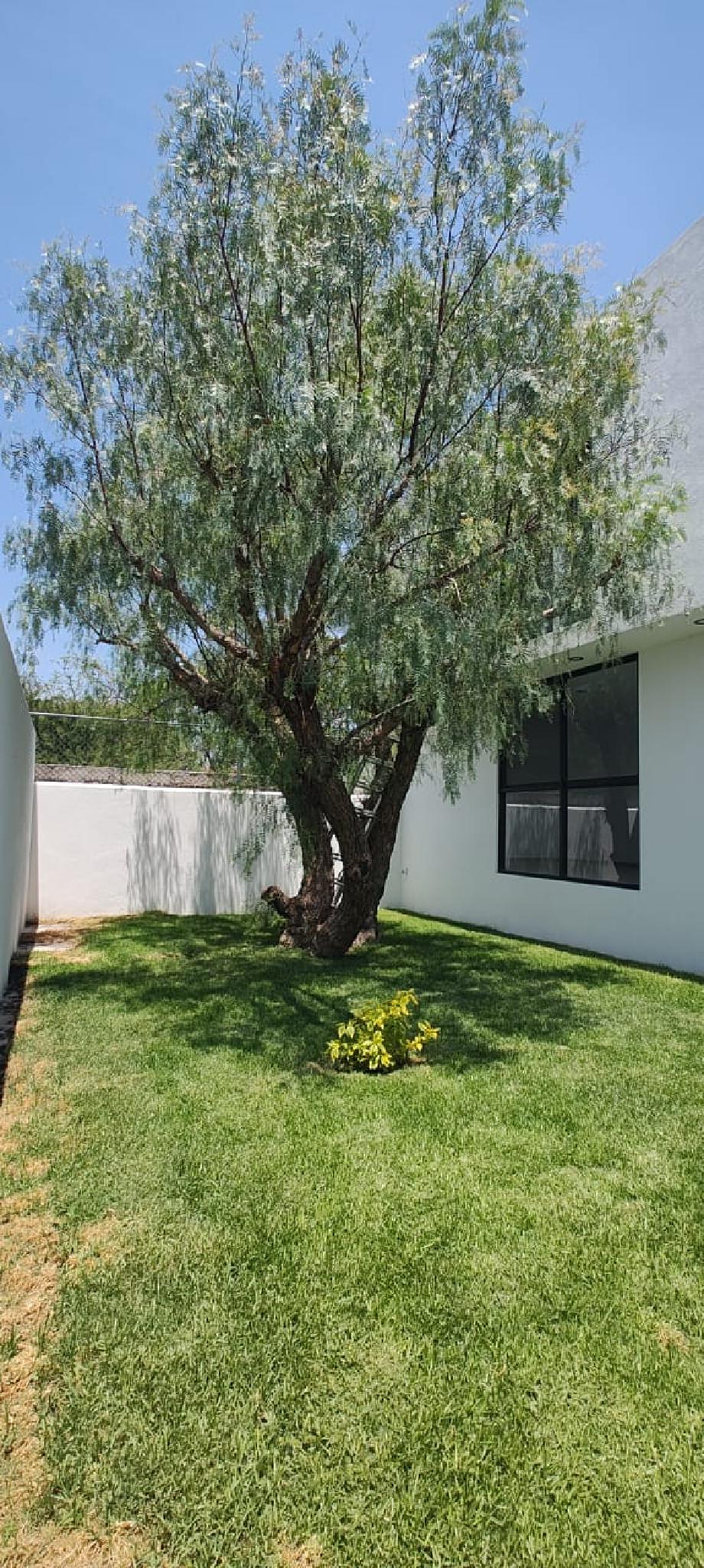 Calle Nuevo Progreso, del predio r?stico identifi, Corregidora, Queretaro, 76922, Mexico, 3 Bedrooms Bedrooms, ,2 BathroomsBathrooms,Residential,For Sale,Calle Nuevo Progreso , del predio r?stico identifi,1553565