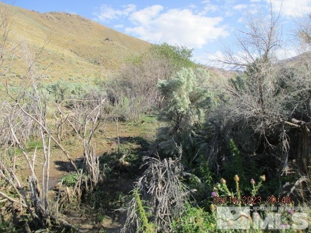 Orovada, Nevada, 89425, United States, ,Residential,For Sale,1860452