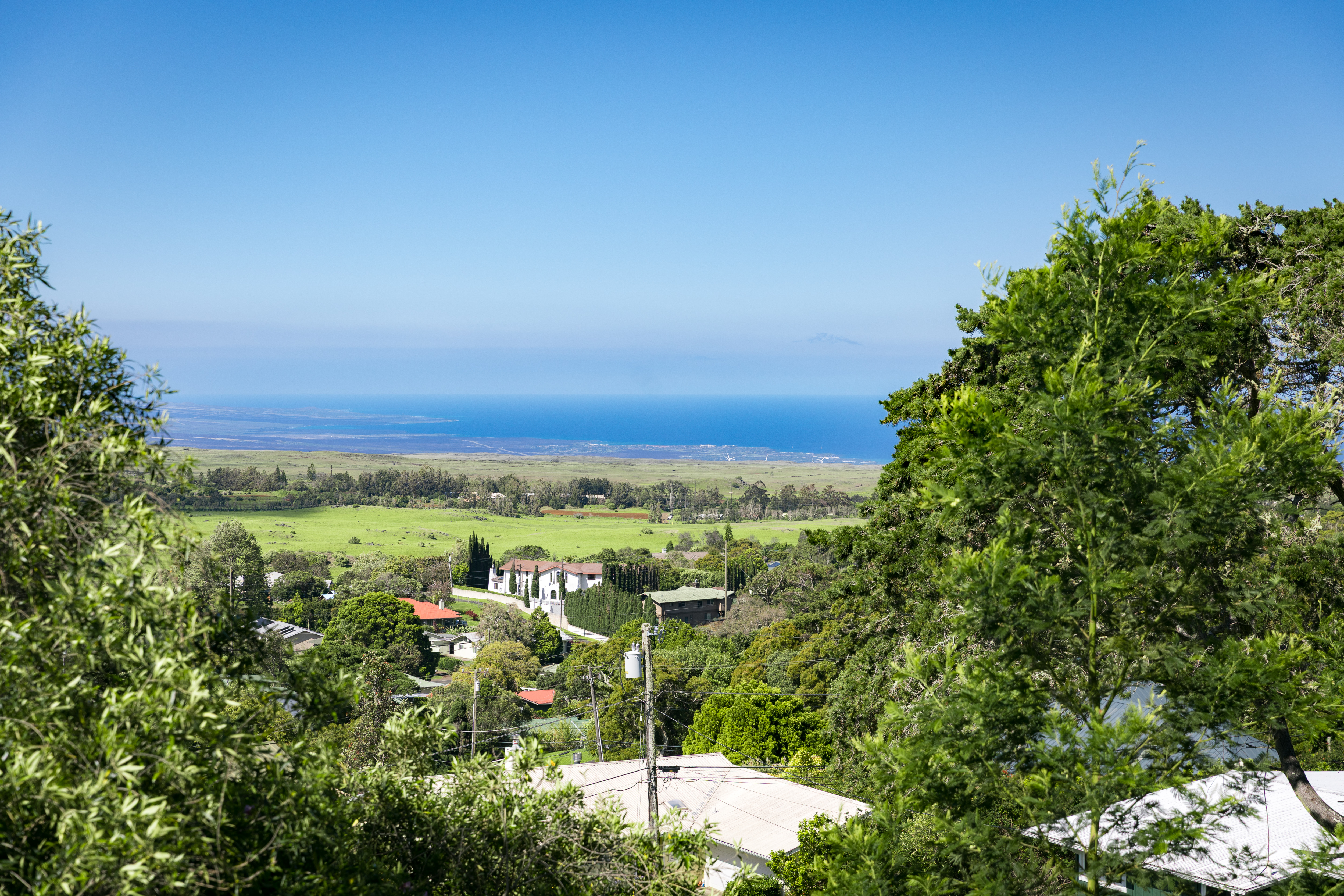  65-1228 Puuki Place, Kamuela, HI 96743 - 物件實景
