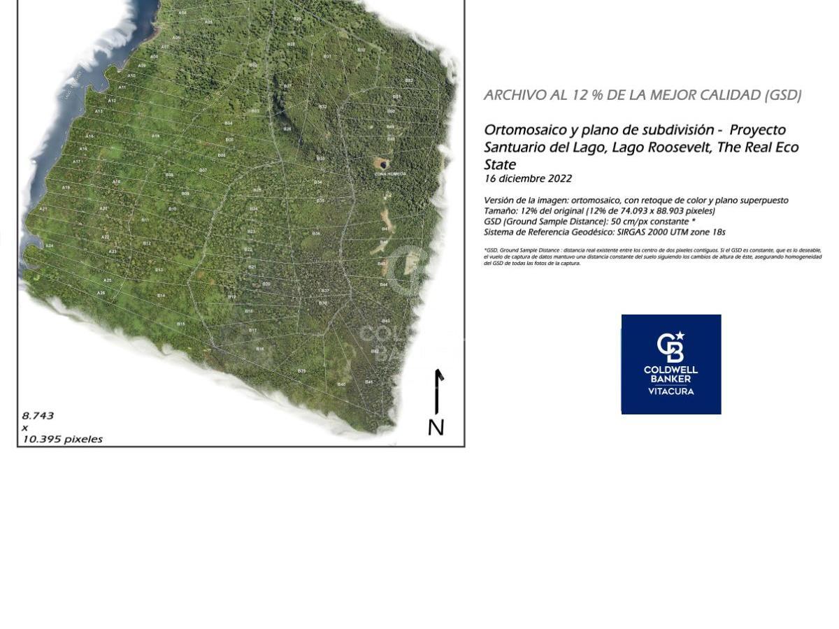 Cisnes, Chile, ,Land,For Sale,1779391