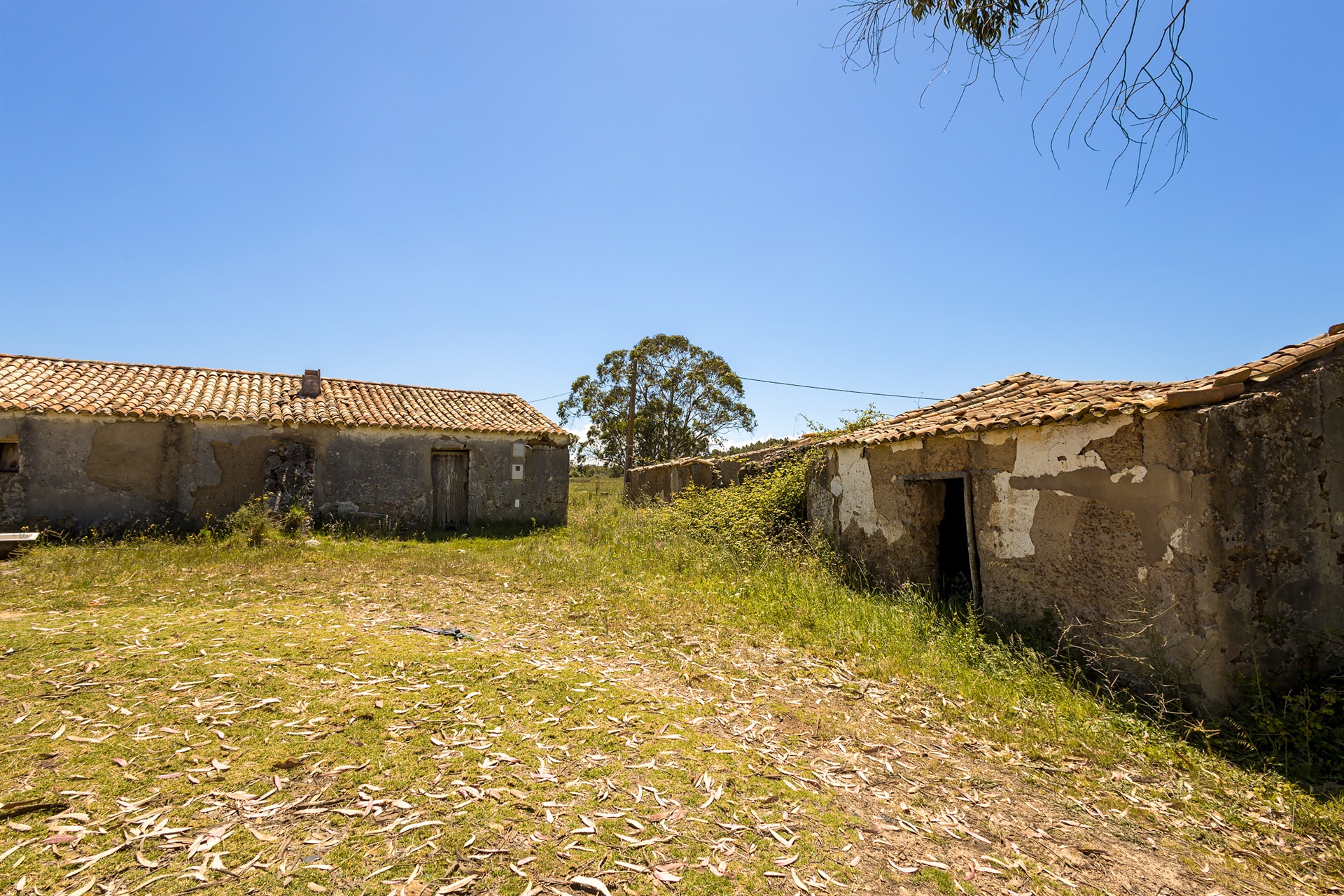  Terreno com ruina for Sale - 物件實景