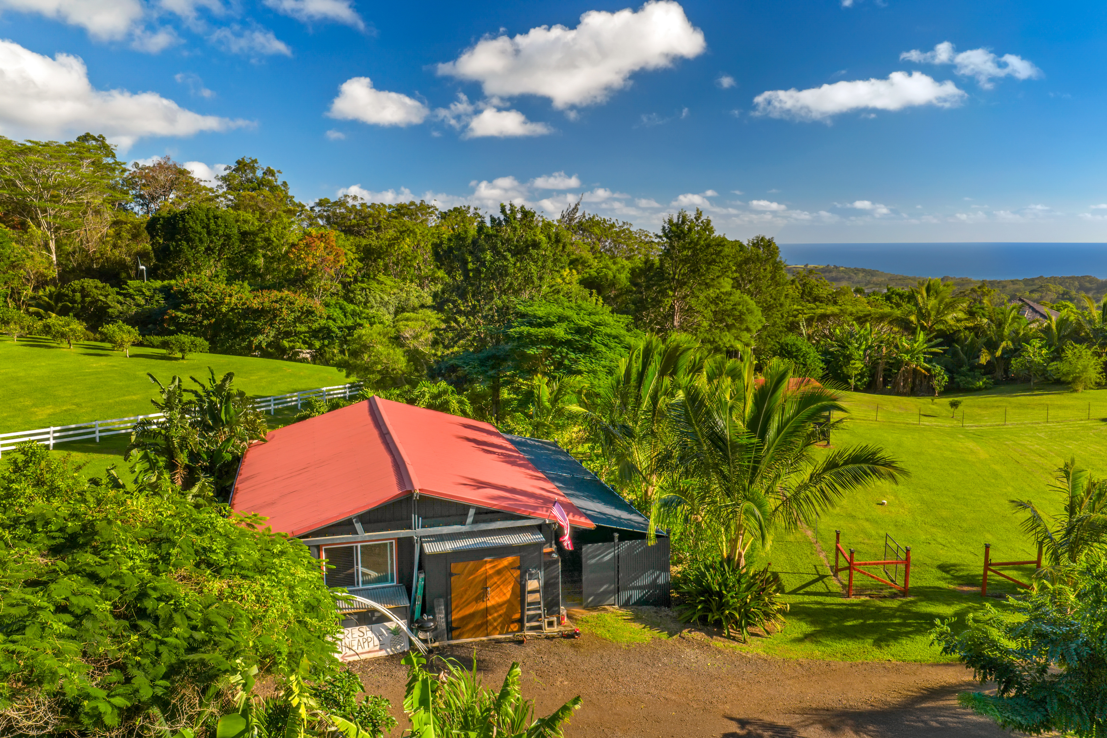  4650 Uha Rd, Lawai, HI, 96741 - 物件實景