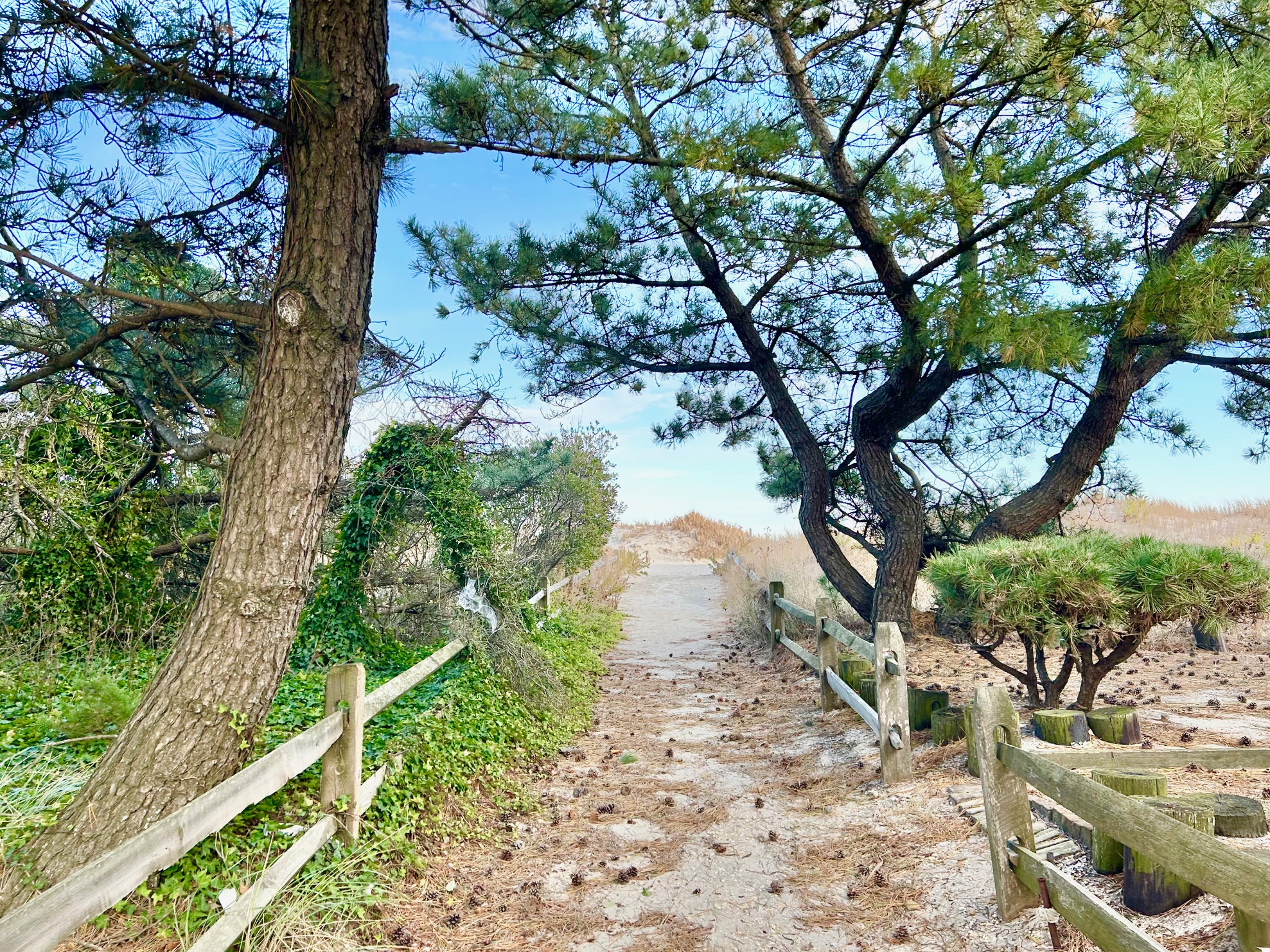 Sea Isle City, New Jersey, 08243, United States, 5 Bedrooms Bedrooms, ,4 BathroomsBathrooms,Residential,For Sale,1994363