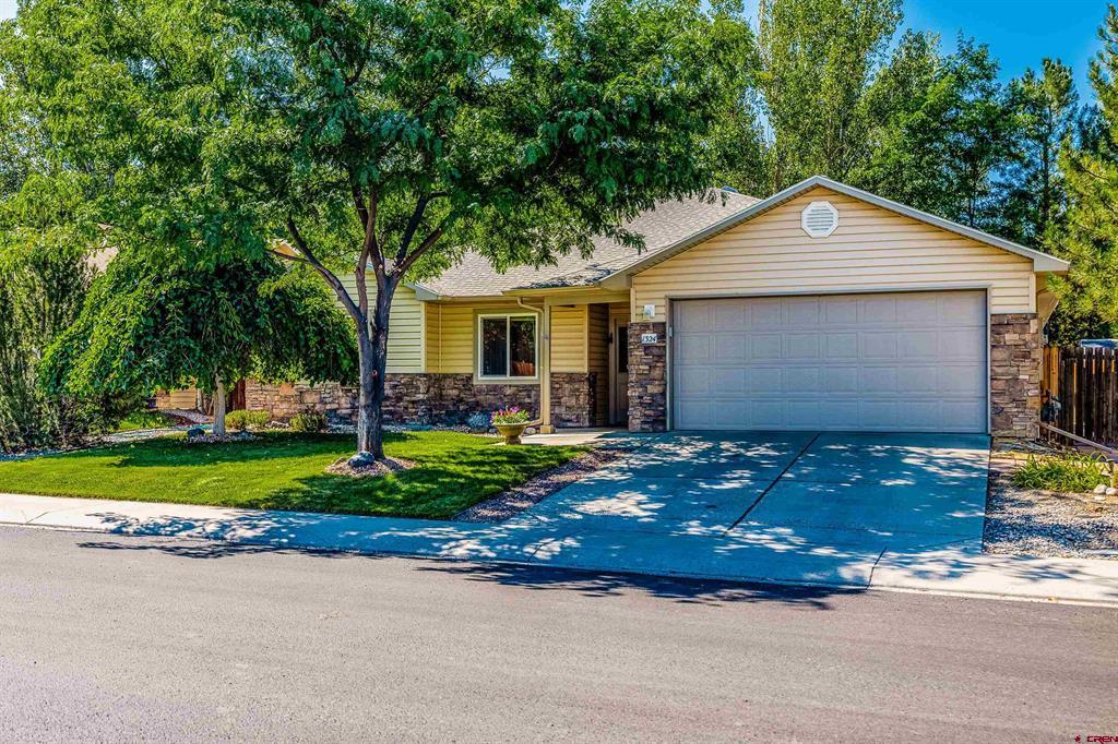 Diamond Hill St, Montrose, CO 81401 #1