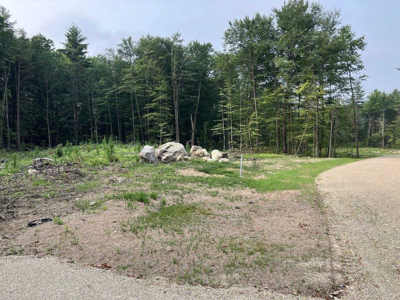 Leicester, Vermont, 05733, United States, ,Land,For Sale,1916983